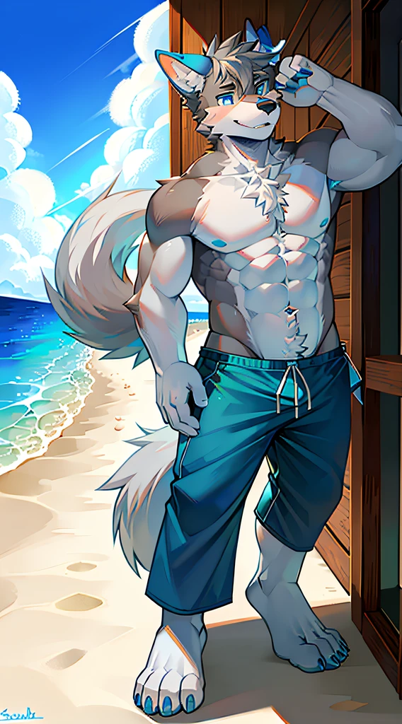 shaggy，Wolf Boy，White fur，crystal blue eyes，Single hairy tail，White hair，Short hair details，sea beach，coconut palms，speedo