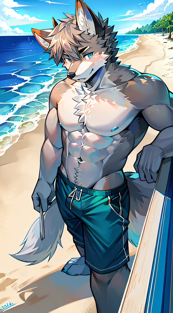 Single, Muscular, grey body, White belly, On the sandy beach,Wolf ears, Wolf tail, frontage,Short hair,Sunshine,Blue pattern swim trunks,beach,Ocean,high qulity,blue color eyes,Gray hair,high qulity