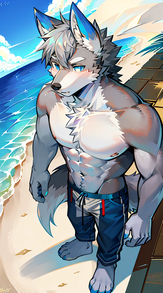 by zixiong, (1boy), solo, male, kemono, (blue wolf), white coutershading, (naked), handsome, muscular, adult, hunk, hot body, (detailed black eyes), detailed face, white eyebrows, (1 detailed big hard white penis erection), balls, thick body, nipples, full body, pectoral, 6-pack abs, masterpiece, high res, best quality, 8k, nsfw, lineart, detailed shade