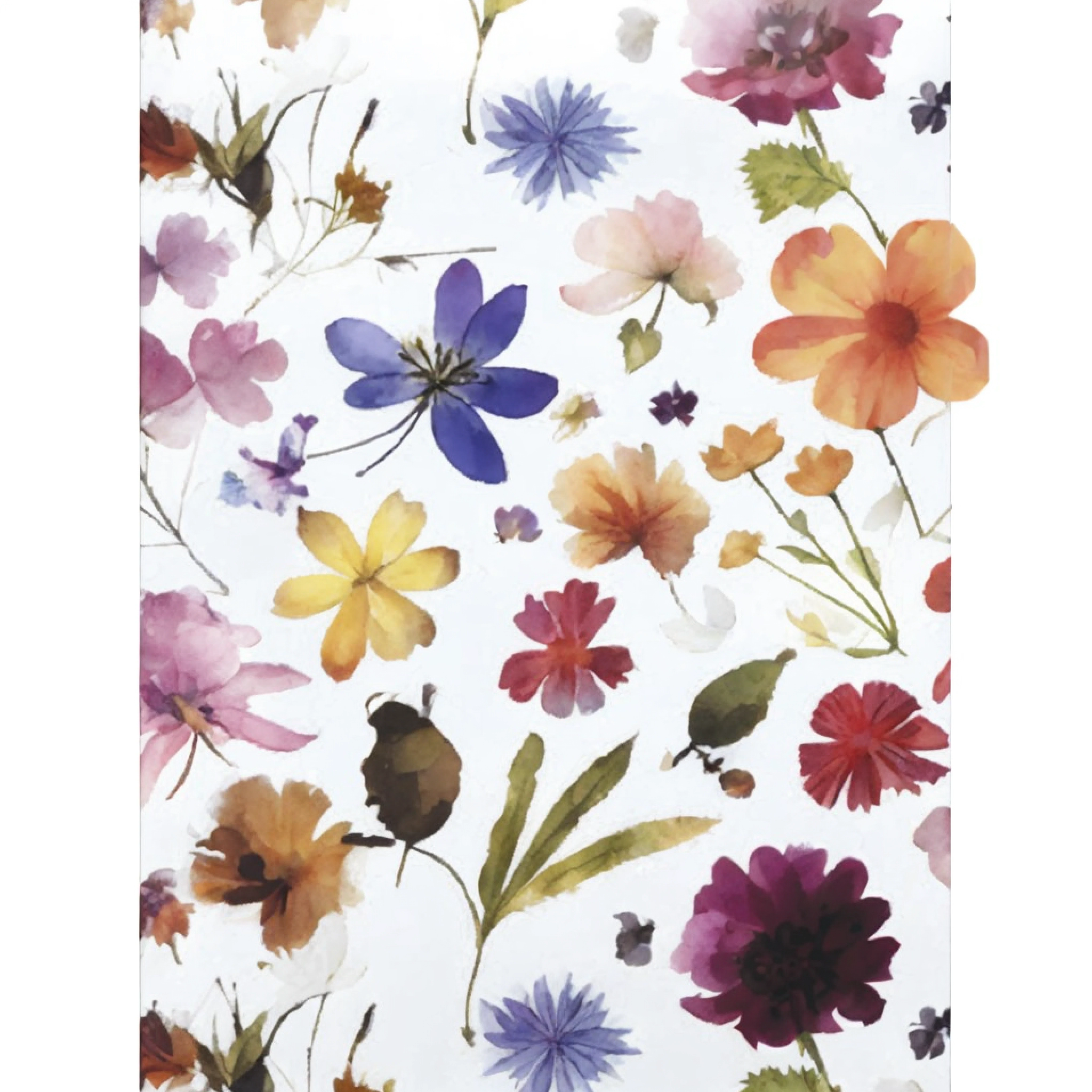 a closeup of a flower print on a white background, flores prensadas, flores coloridas, flores irregulares, Botanical Herbarium Paper, Florido, flores do prado, botanico, flores manchadas, flores secas, garden flowers pattern, floral patterned skin, Directed by: Rainer Maria Latzke, Jardim delicado sobre papel, flores silvestres, poder da flor, flores e caules