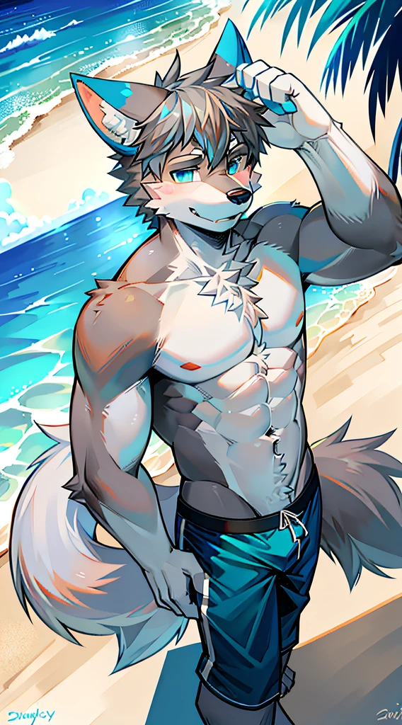 Single, Muscular, grey body, White belly, On the sandy beach,Wolf ears, Wolf tail, frontage,Short hair,Sunshine,Blue pattern swim trunks,beach,Ocean,high qulity,blue color eyes,Gray hair,high qulity