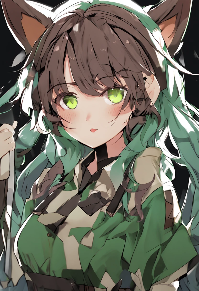 Cat ears, female, green eyes, brown hair, capable, tall, wearing a nikkawa knife, beautiful two-dimensional