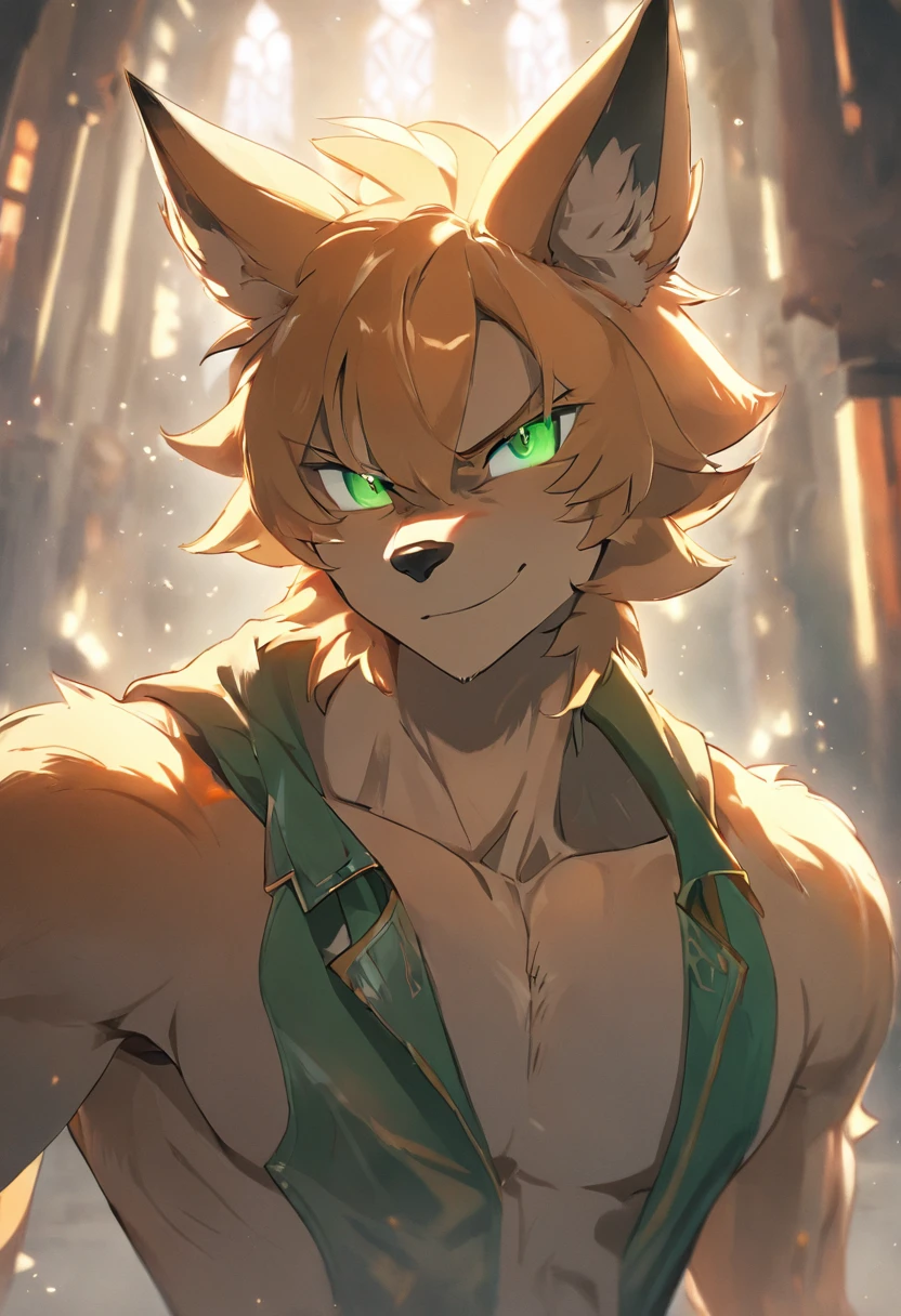 4K, high resolution, Best quality, Masterpiece, perfect colors, perfectly shaded, Perfect lighting, posted on e621, (by Chunie), Furry, anthro, Furry art, ((Portrait)), anthro male fox,, Two-tone leather,(Lunette de soleil),hairy bodies, Green eyes, Perfect male bodyPerfect male figure, Wear men's shorts,Abs,musculature,Detailed fur, Detailed face, Perfect face, (The stands up), Detailed background, ((Bonifasko lighting)), coda, (Detailed eyes), perfect pupils