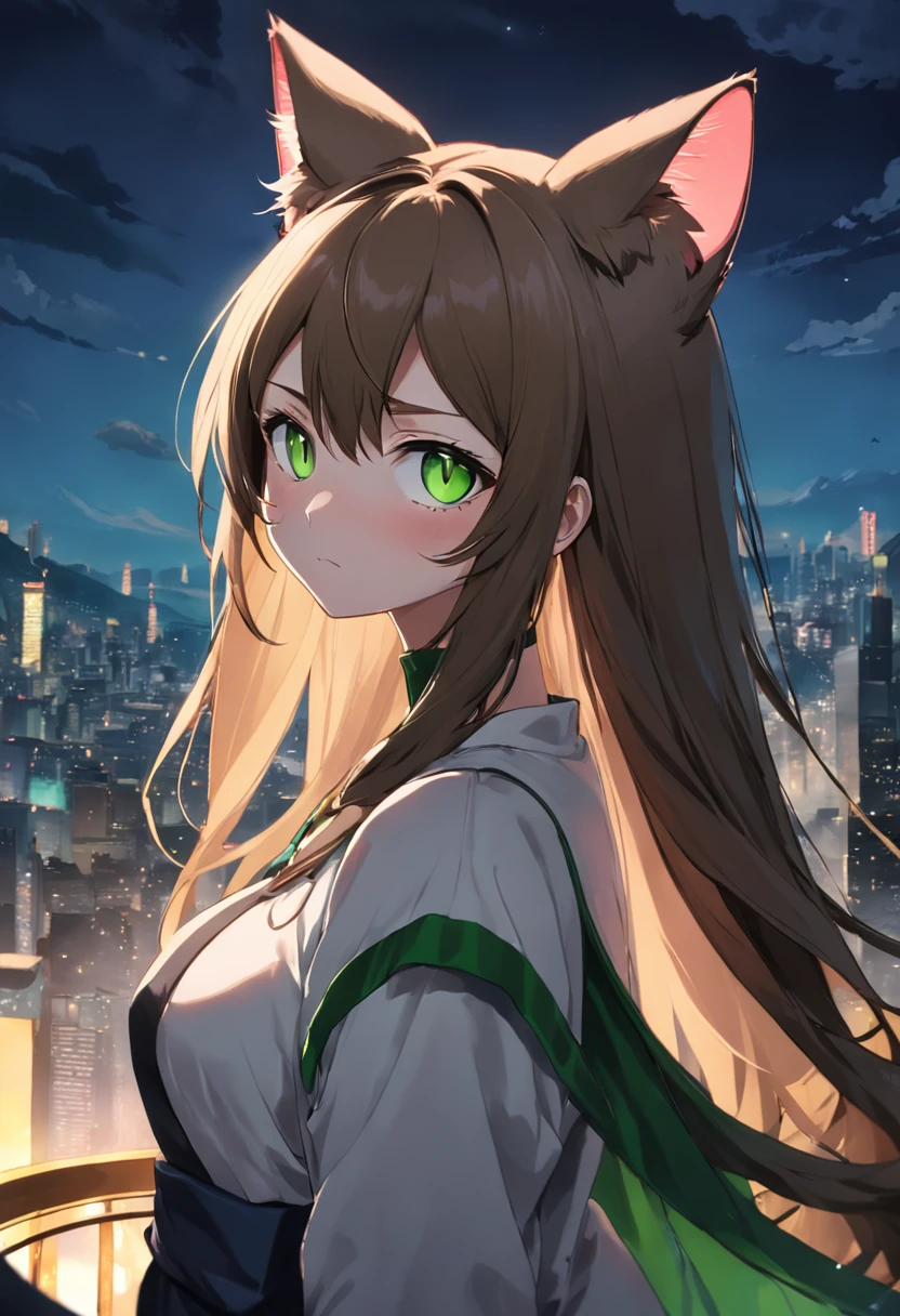 Cat Eared Woman，Green eyes，Long brown hair，Tall and tall，mature，big breasts beautiful，Saber