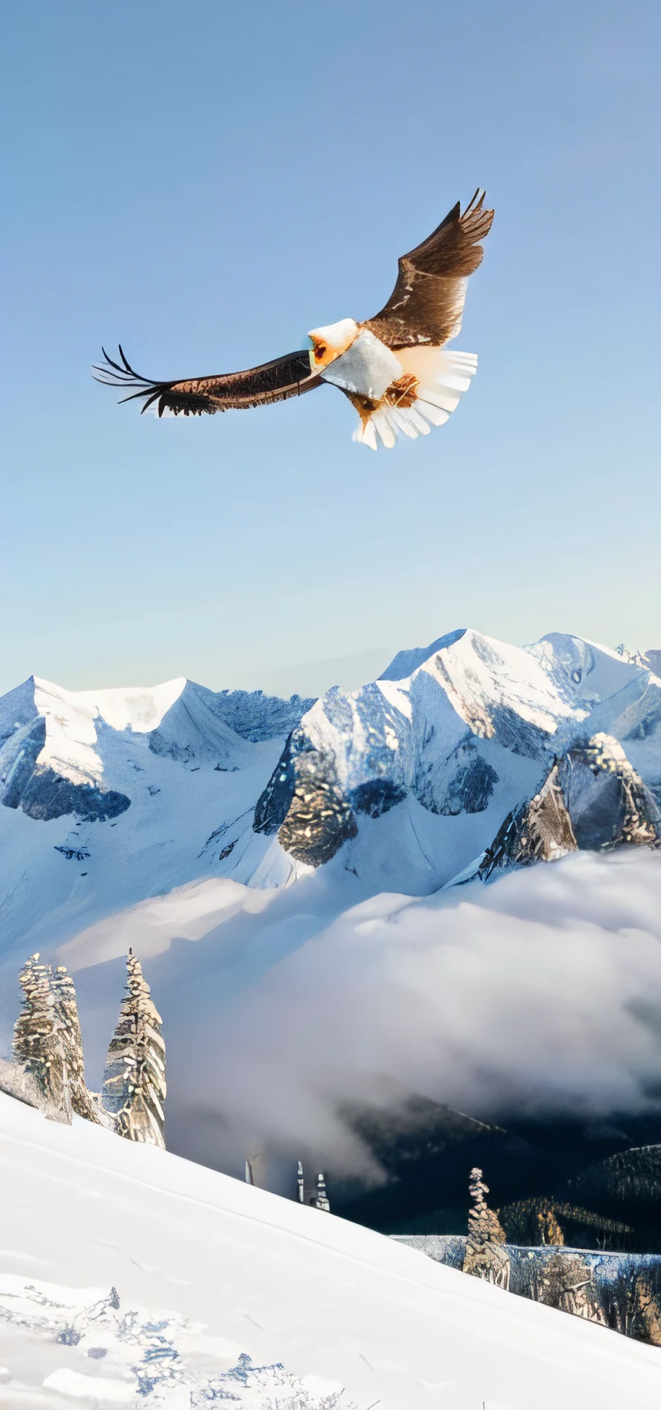 Eagles spread their wings in snow-capped mountains，Rich in detail，Fly the sky where the sun is in