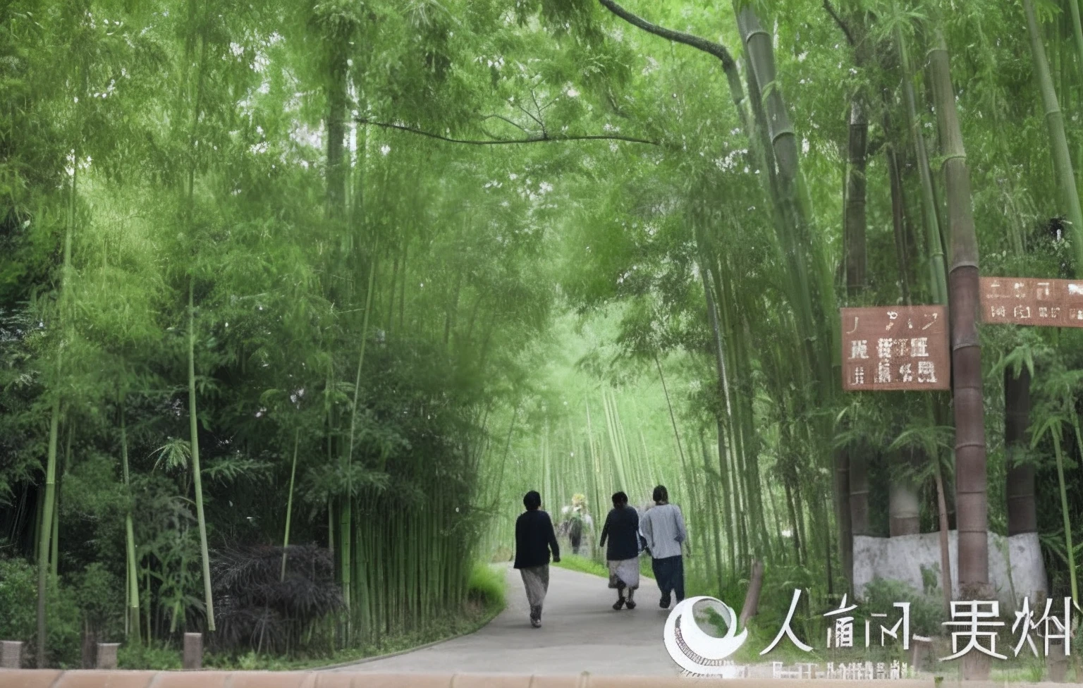 people walking down a path in a bamboo forest with a sign, walking in a bamboo forest, of bamboo, in a bamboo forest, bamboo forest, deep in a japanese bamboo forest, tian zi, bamboo, bamboo forest in the background, by Ju Lian, sichuan, green alley, hangzhou, inspired by Pan Tianshou, peaceful lushious forest