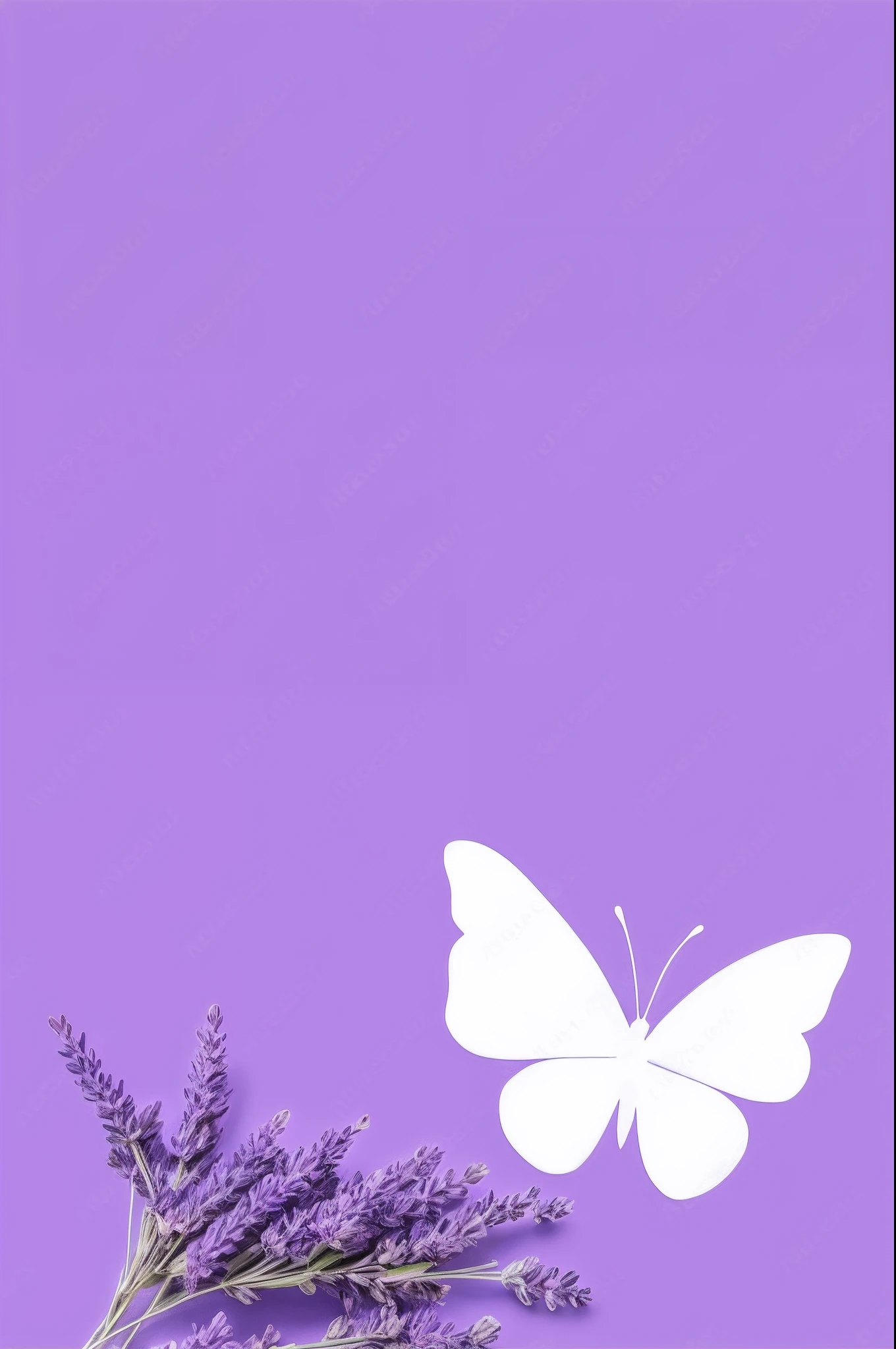 lavender flowers and a butterfly on a purple background, background is purple, background is white, purple background, background is heavenly, the background is white, isolated background, minimalist background, simple background, isolated white background, colorized background, minimal background, pastel purple background, butterfly, flowers and butterflies, plain purple background, background image, nature background, lavender, stylized background