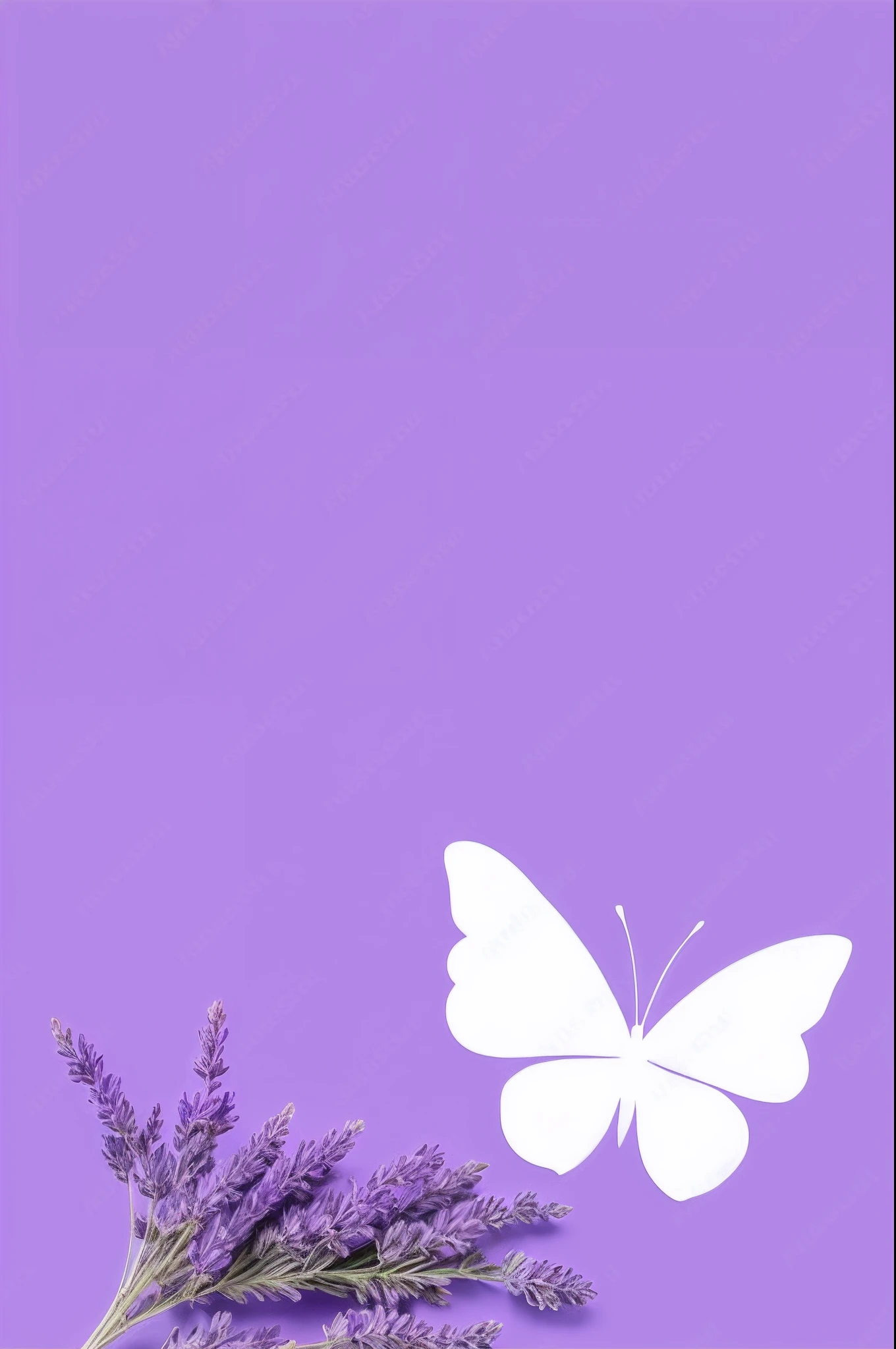 lavender flowers and a butterfly on a purple background, background is purple, background is white, purple background, background is heavenly, the background is white, isolated background, minimalist background, simple background, isolated white background, colorized background, minimal background, pastel purple background, butterfly, flowers and butterflies, plain purple background, background image, nature background, lavender, stylized background