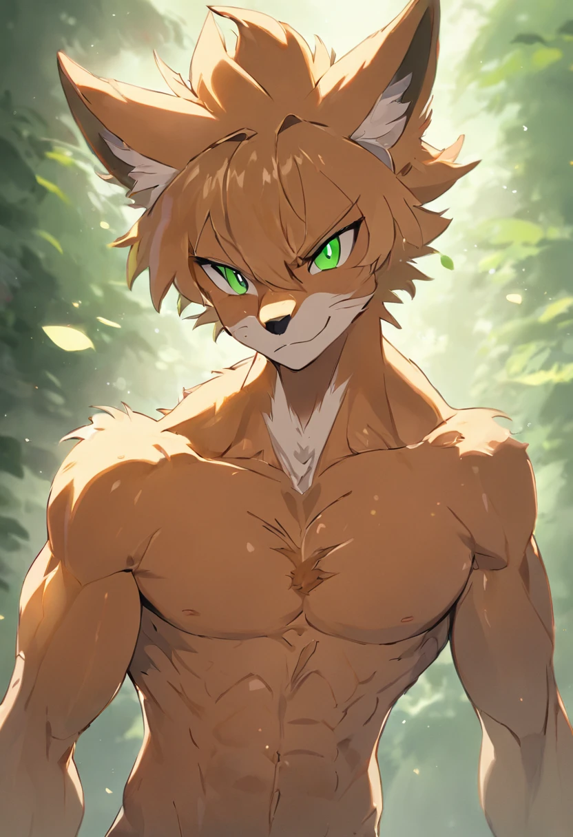 (masterpiece, 4K, ultra detailed), a tiger furry, single, masculine, red fur, short hair, cartoony, smooth lining, smooth shading, fields, noon, age, athlete, blush, naked, green anime eyes, penis