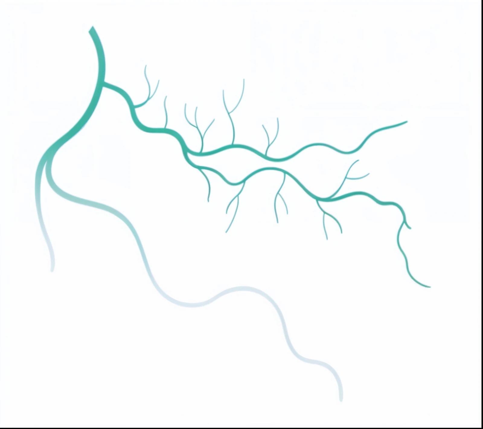 Simplify lines,Simplify curves