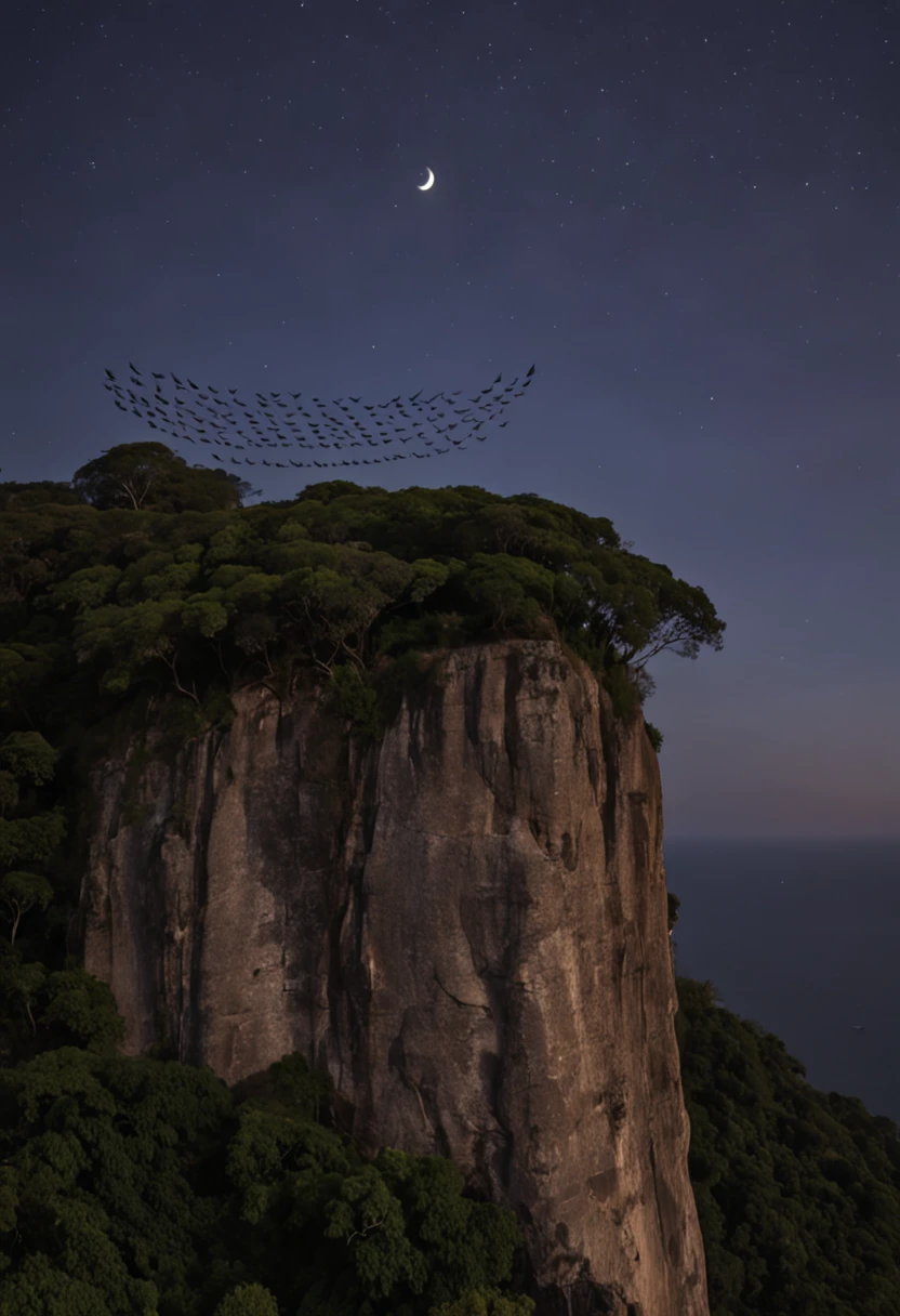 on the right side many vultures flying in circles on the edge of the cliff, flying over the hill of Vista Chinesa, in Rio de Janeiro, dark night, with many shadows, stars and full moon in the sky and many trees descending the cliff
