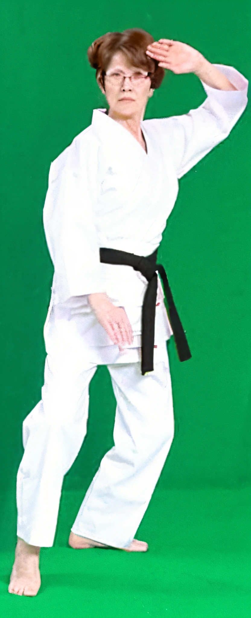 elderly spectacled woman in white kimono, karate outfit, black belt, wearing a white gi, karate, white uniform, inspired by Masamitsu Ōta, inspired by Gatōken Shunshi, inspired by Tōichi Katō, inspired by Shibata Zeshin, karate pose, belts & velcro galore