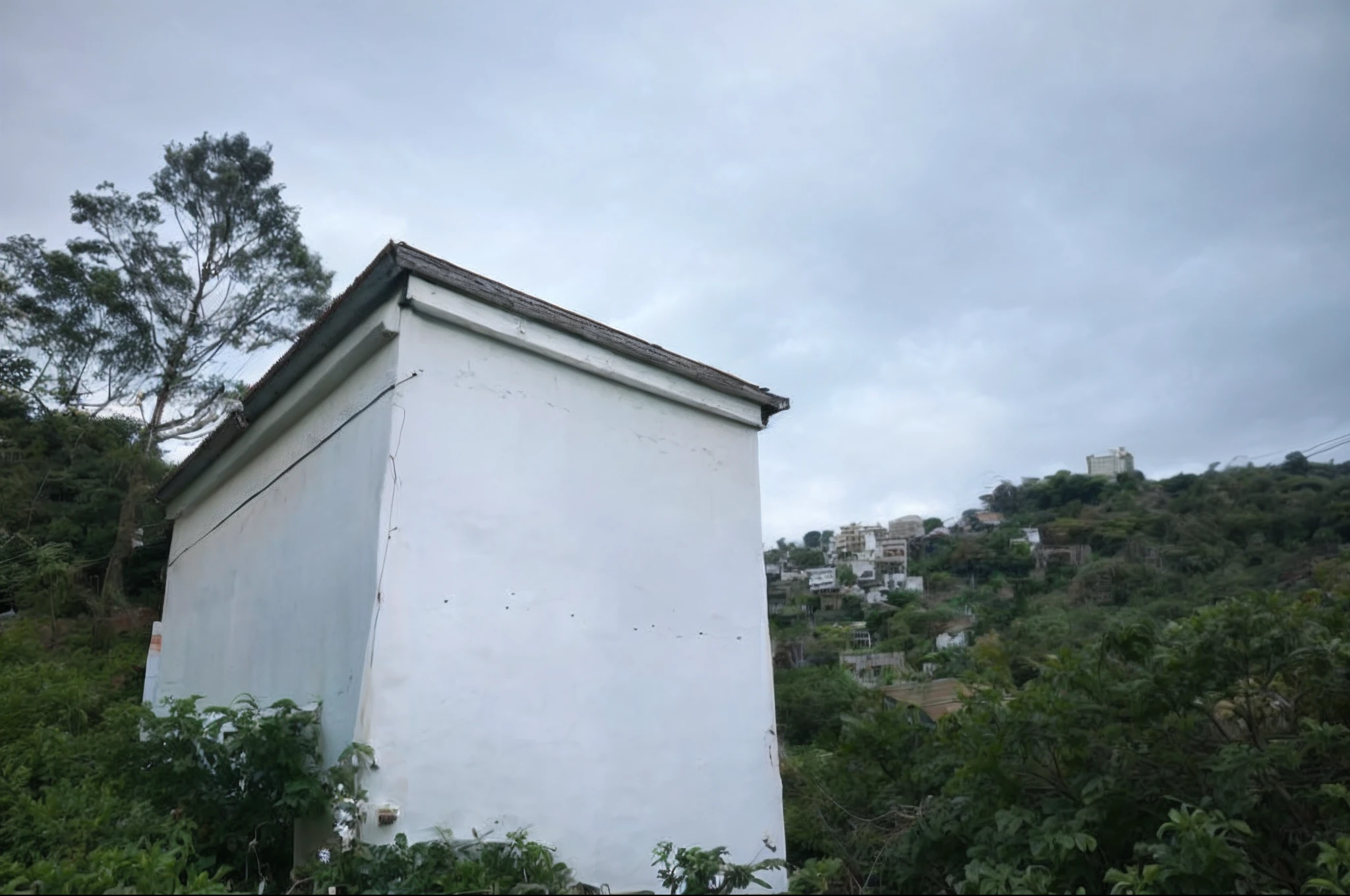 Close-up of white building,There are a lot of trees in the background, buzzed hair on temple, Slum bee hive, A huge impact on the building, seen from the side, View from the bottom, White Building, Built on a steep hillside, view from ground, lookout tower, picture taken from the ground, A temple, Buildings of horror, 4 0 9 6