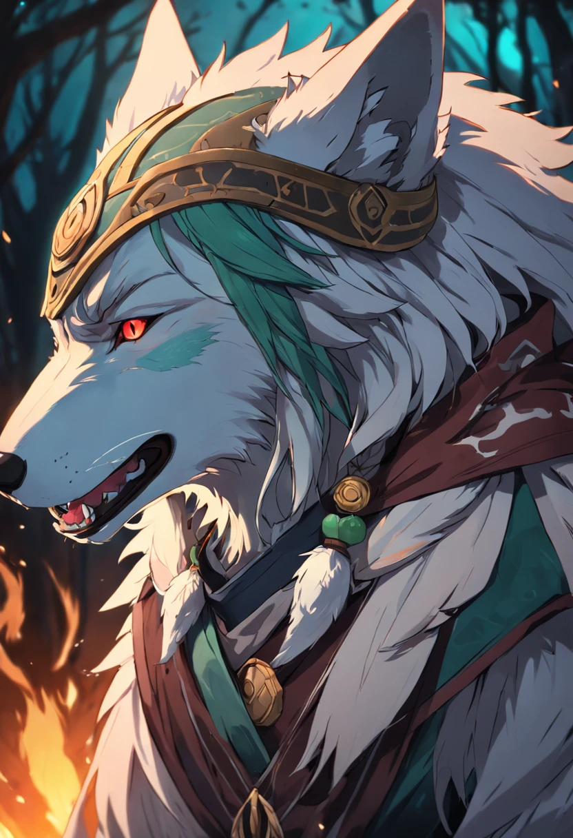 Kind male druid with wolf head helmet