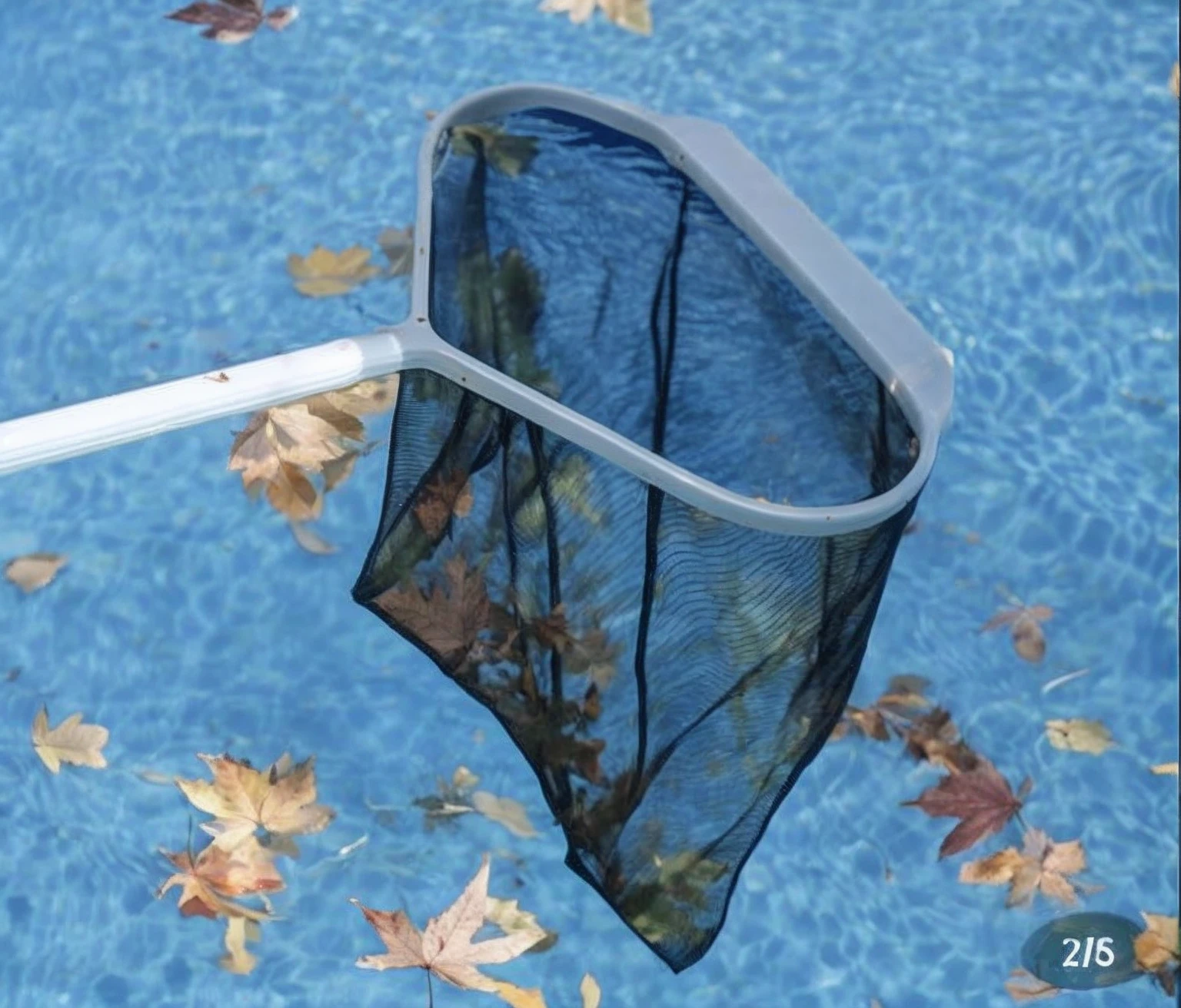 Use nets to go to the pool and pick up the leaves, and there are a lot of leaves floating in the pool