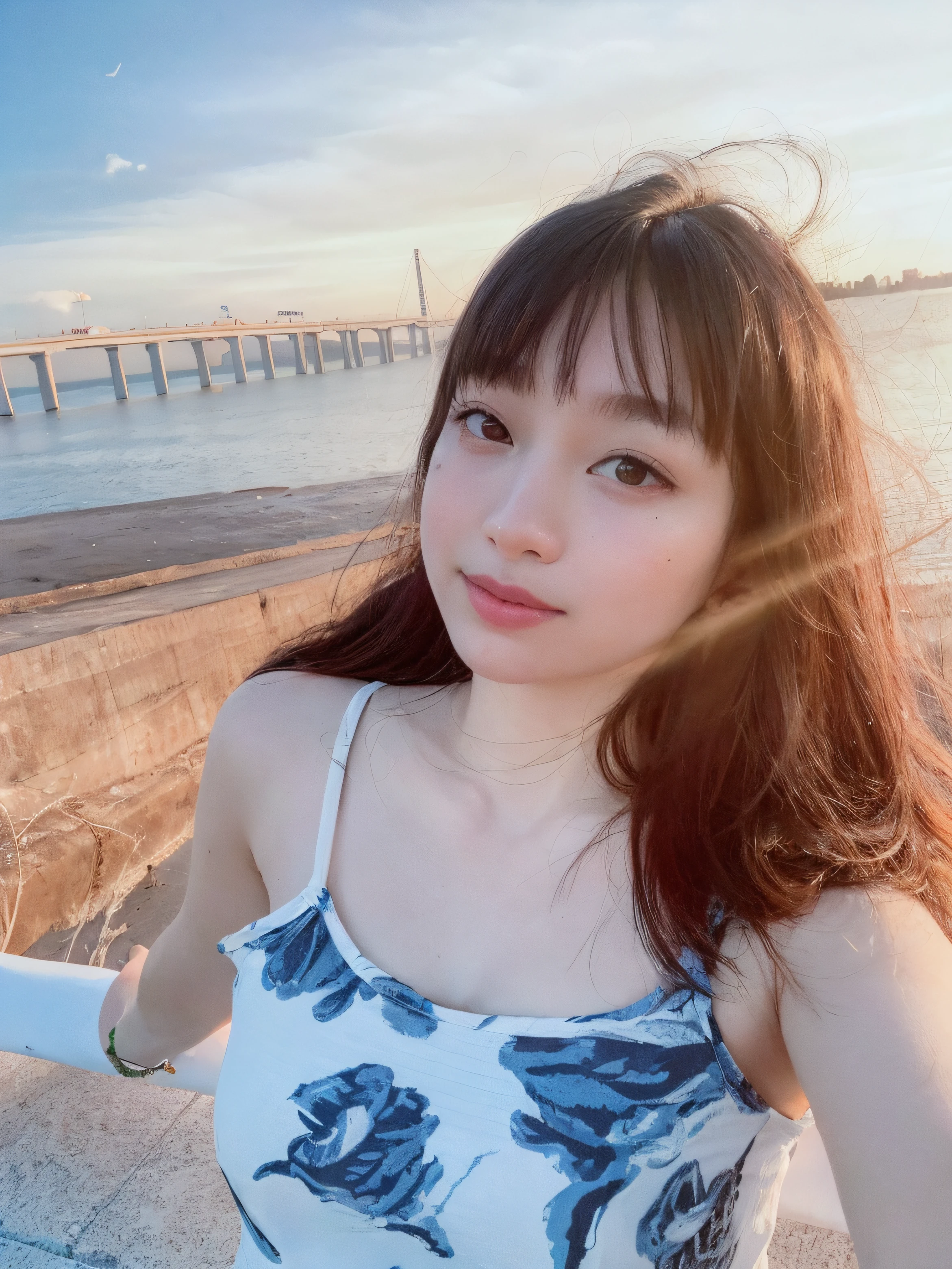 beachside,the setting sun,Beautiful,seagulls