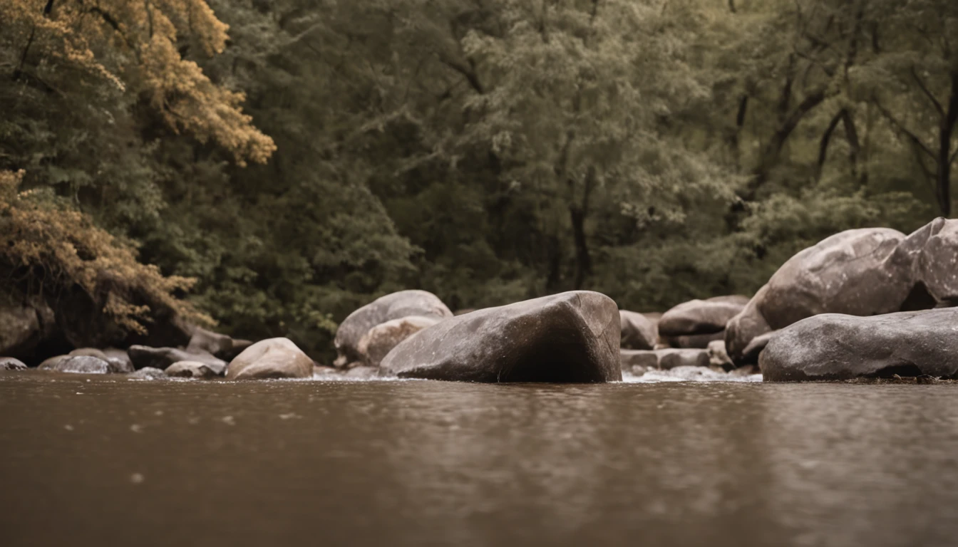 Com o tempo, The waters of the river were shaping the stone. Elas a tornaram mais forte e mais resistente.

A pedra crescia a cada dia, and his dream seemed more and more possible.