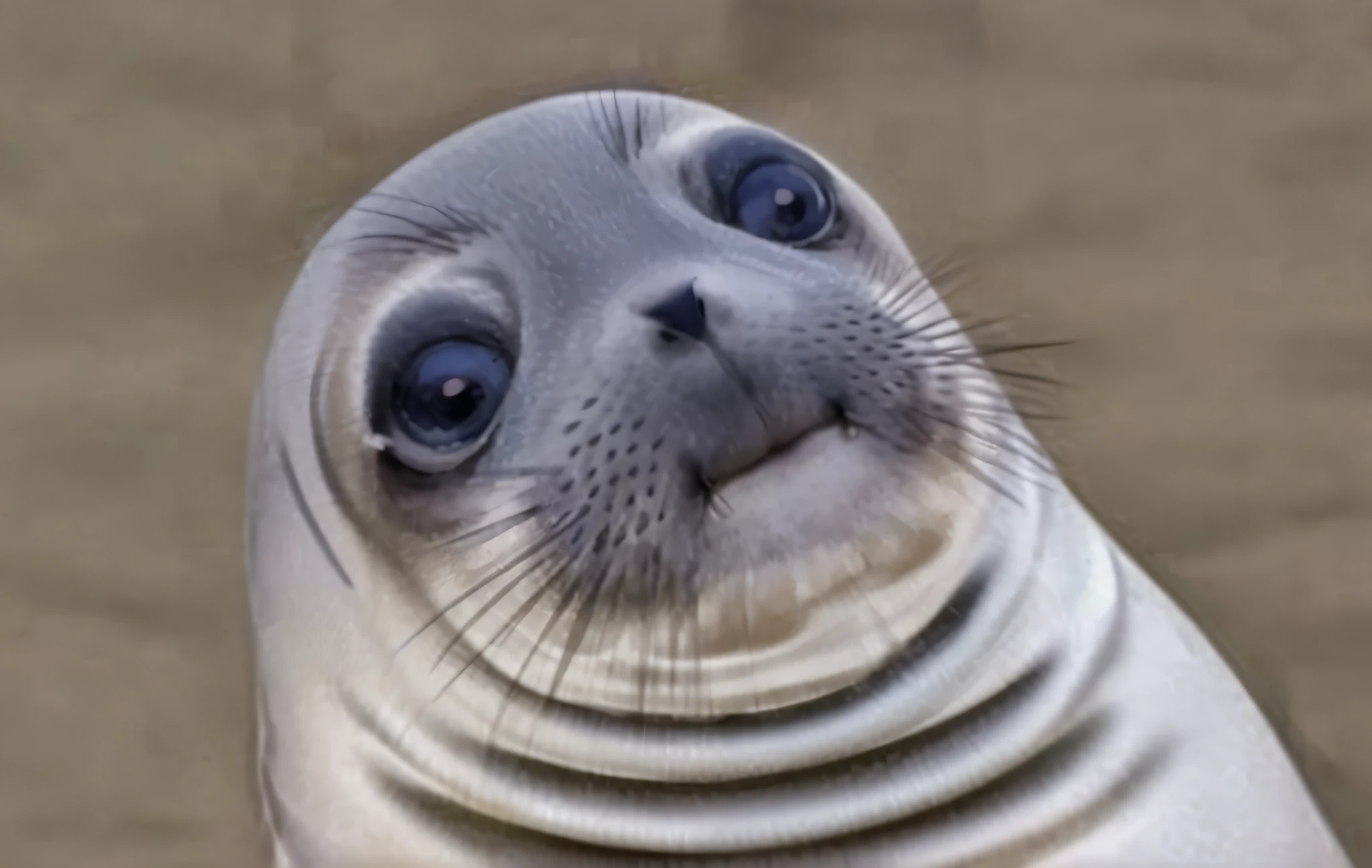 Arafed the seal looks at the camera with a very wide smile, Ivan Tulen, joyful smirk, The cutest creature in the world, looking up at the camera, looking up at the camera, The cutest creature in the world, stares intently at the camera, is looking at the camera, A thin, Awkward smile, perfectly proportioned face, looking up at the camera!!!, looking up at the camera, kblack eyes,