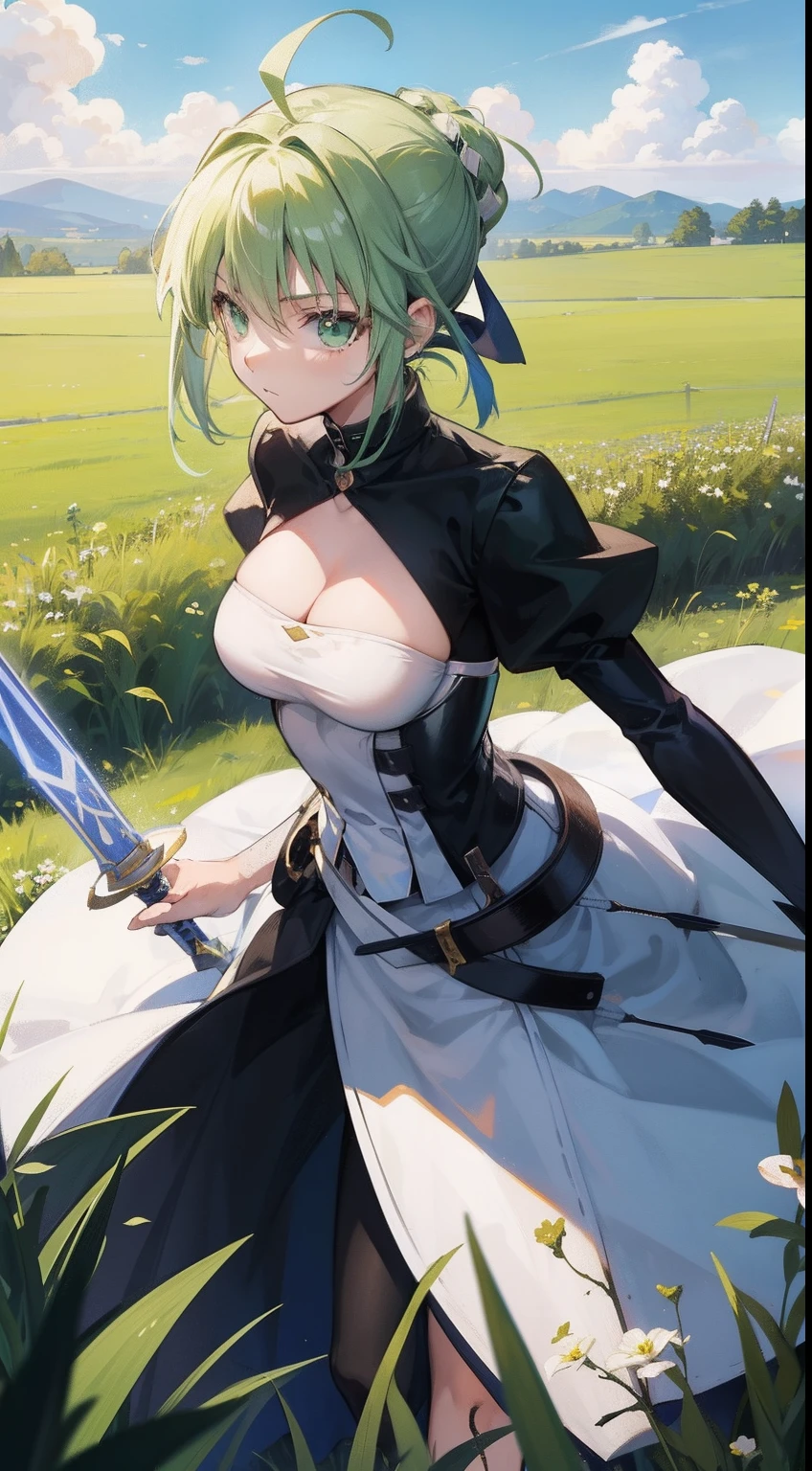 master piece, best quality, tall, bbsaber, green eyes, ahoge, field, stand, sword, Excalibur \(fate/night stay\), outdoor, cleavage