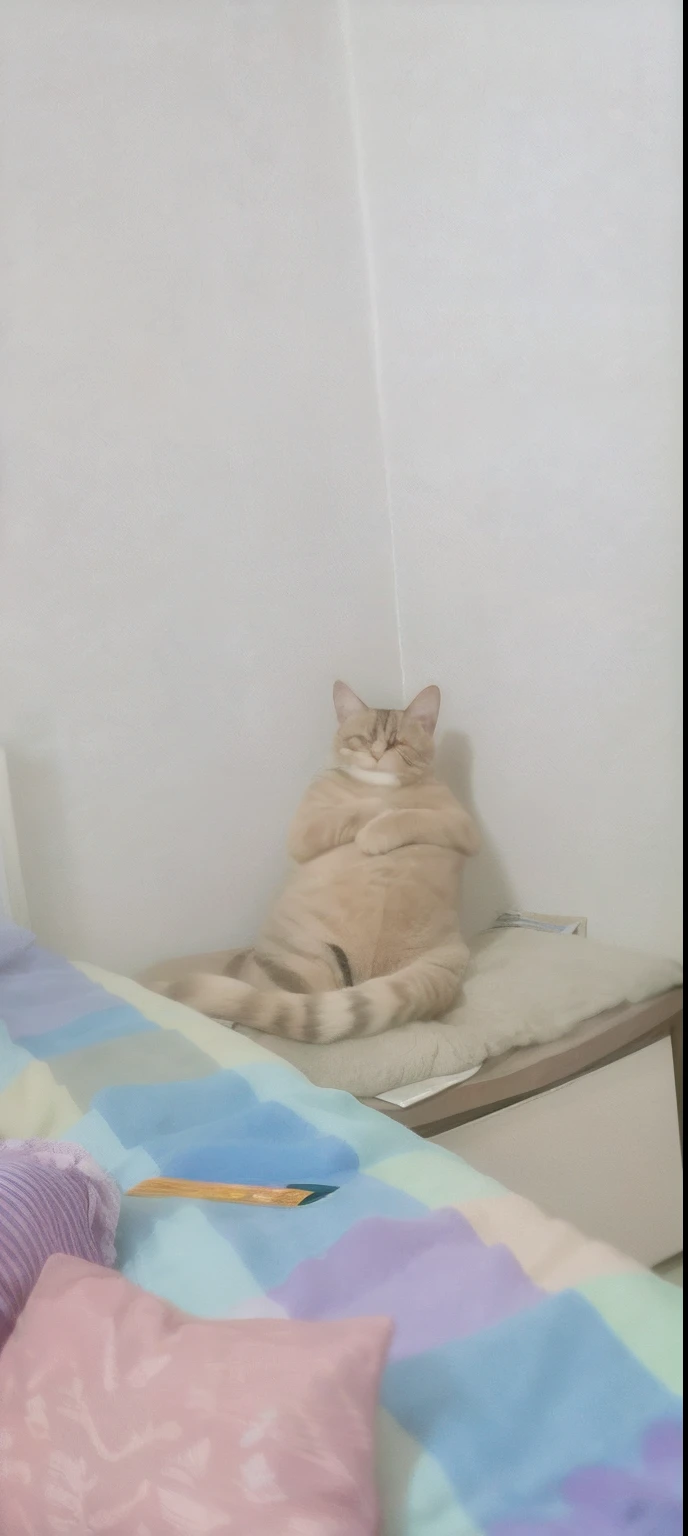 There was a cat lying on the bed in the room, he is very relaxed, sit on a bed, Sitting on the bed, sitting on her bed, she is looking at us, the cat is smiling, doing a majestic pose, chonker cat, doing a hot majestic pose, cat photo, happy wise. he has bouncy belly, the cat is orange