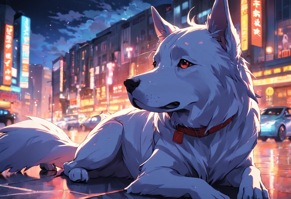 doggy