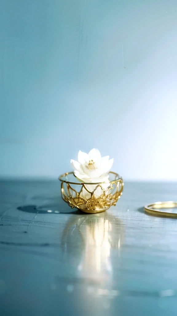 ((((Charming minimalist work)))),Golden wire,A ring with a hierarchy, muted pastel tones, colours, Carefully selected soothing qualities, Exudes a feeling of calm and tranquility. This artwork contains classes, Let the audience immerse themselves in the gentle and peaceful atmosphere it creates