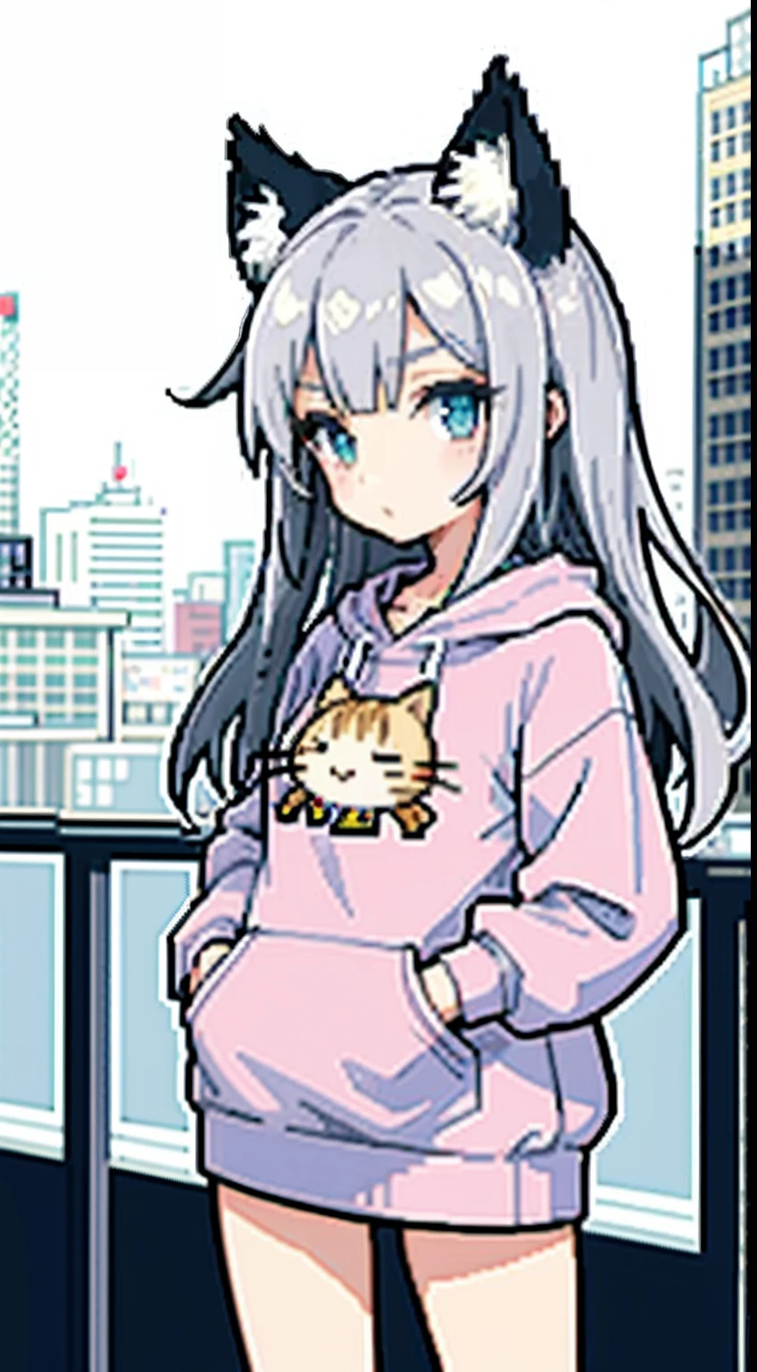 (tmasterpiece,top Quority,best qualtiy),pix,pixelart,1girll, Cat ear, full bodyesbian,Pink and white sweatshirt,Gray hair, City background