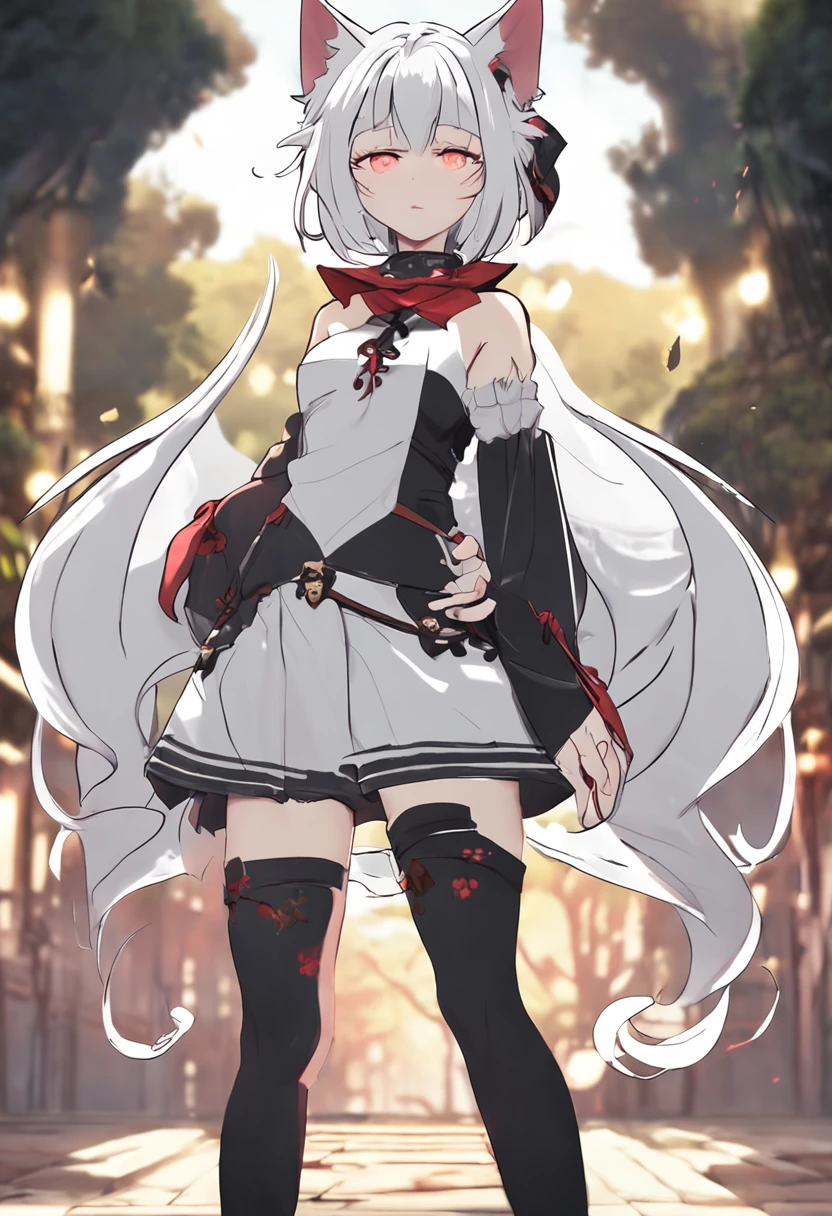 anime, anime girl, cute, anime face, good face, ((standing position)), red eyes, short white hair, cat ears, cat tail, (forest in background), pale white color skin, black witch dress, body covered, curvy, stern expression, plump legs, big butt, small breasts, sunset, muscular stomach