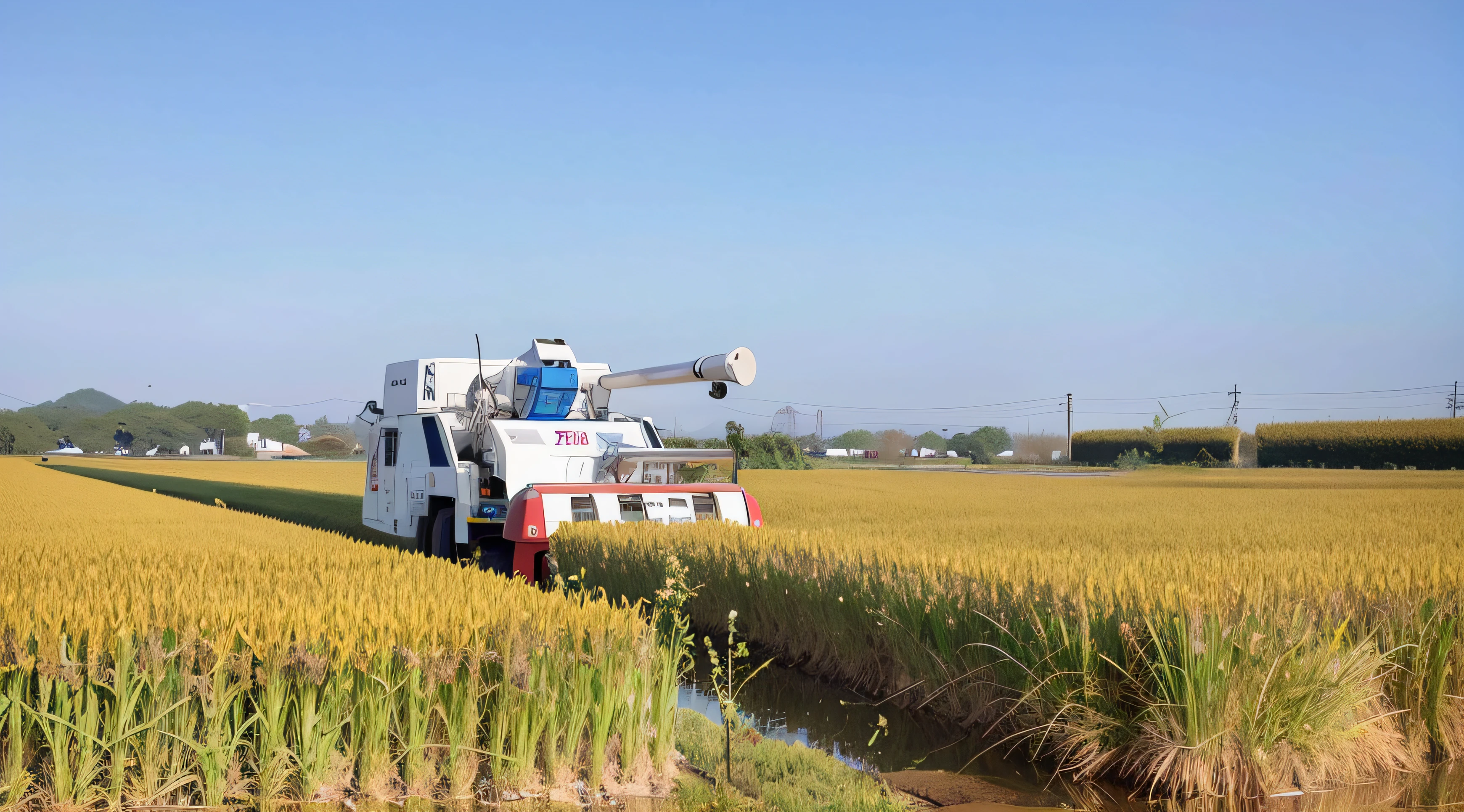 Aalfed combine in a rice field,Chinese big breasts，High mountains in the distance，Golden rice，The sky has white clouds