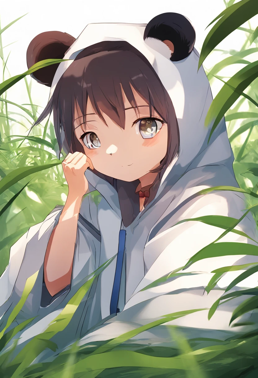 A cute panda，Lie on your stomach in a pot with small grass，Has big eyes，differentemotions，Different poss and expressions，anime style, ccurate, high details, high quality, highres--niji5