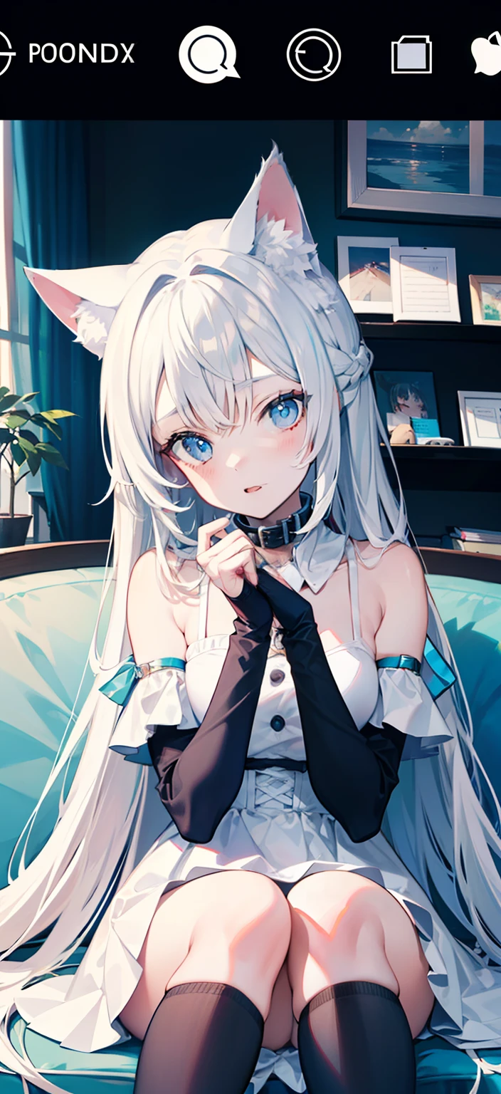 cat ear，teens girl，high qulity，Wearing a collar，Half of the shoulders are exposed，White background，beautifull detailed face，Medium shot，The face is perfectly contoured