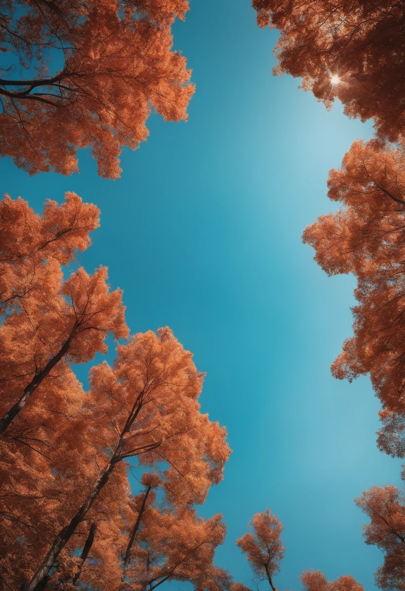 clear blue skies,A vast world of candy