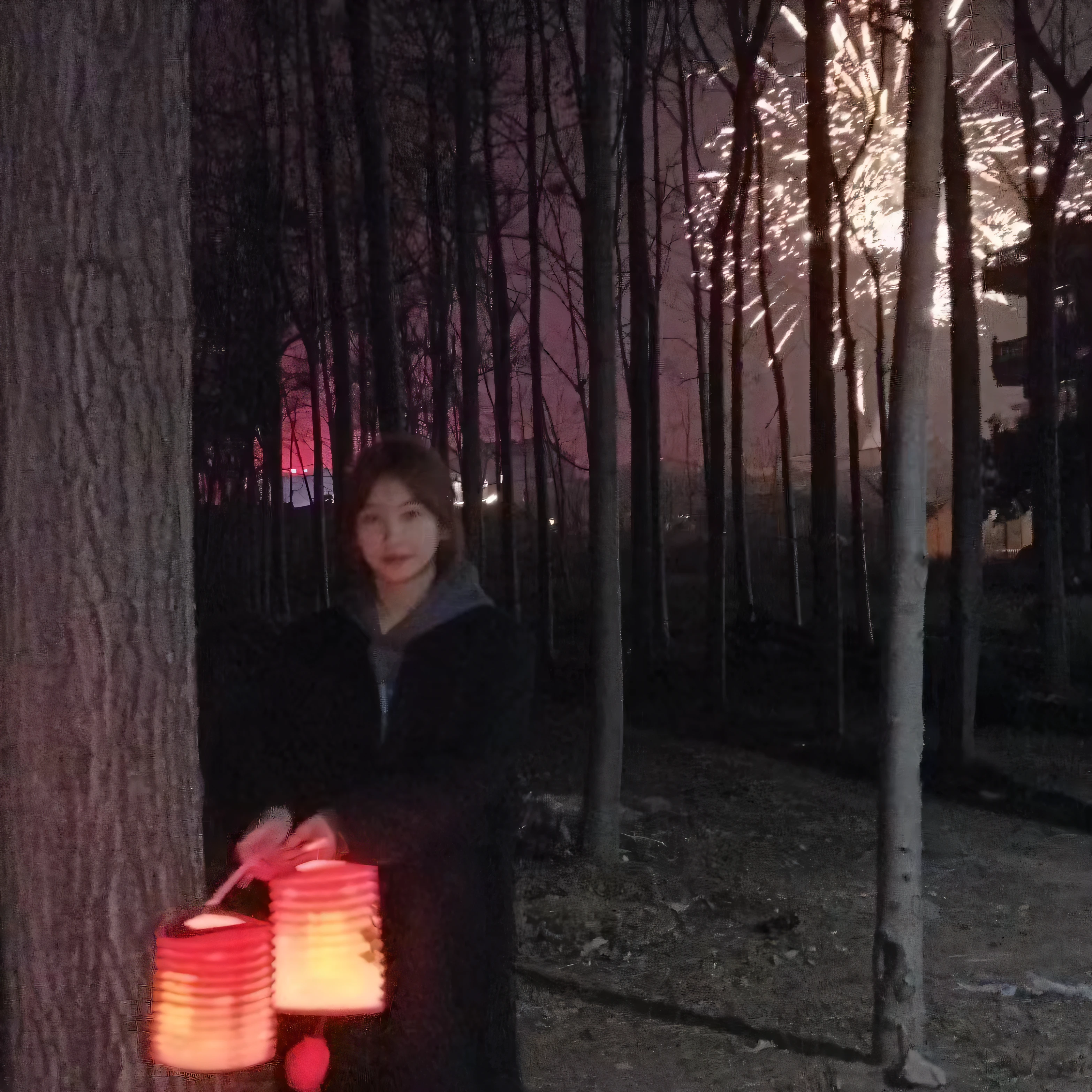 At night in the forest there is a woman holding a lantern, holding a lantern, Fireworks in the background, in a candy forest! At night, Fireworks, with a tree in the background, with paper lanterns, Profile picture, fire works, Evening!! In the forest, sangyeob park, burning scene in the background, The fire is lonely, cheerfulness!!!, fireworks in background