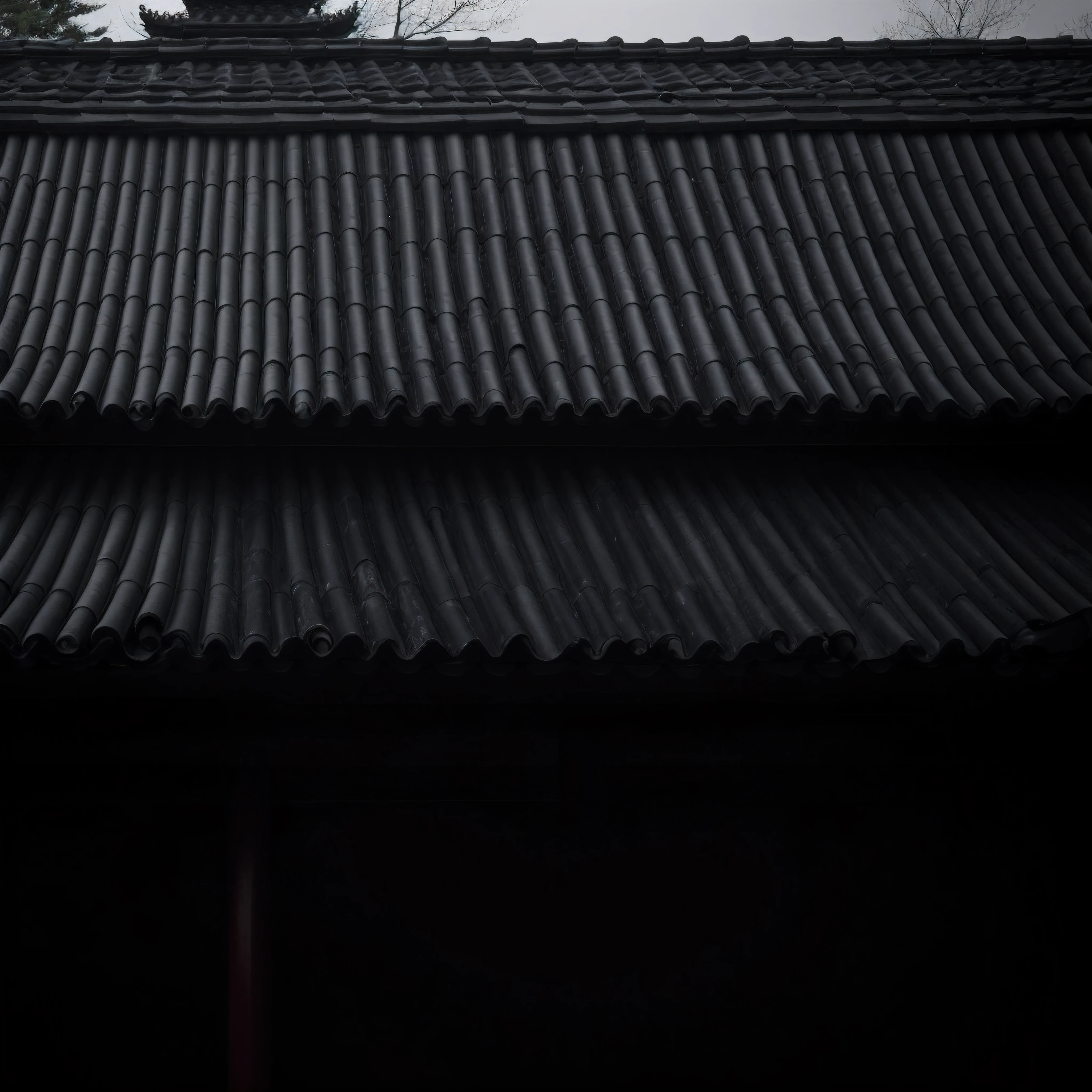 Look down at the roof in the dark, inspired by Itō Jakuchū, Chinese style black tile roof, inspired by Sesshū Tōyō, inspired by Kanō Hōgai, inspired by Nōami, inspired by Inshō Dōmoto, inspired by Sōami（（（Top-down view）））