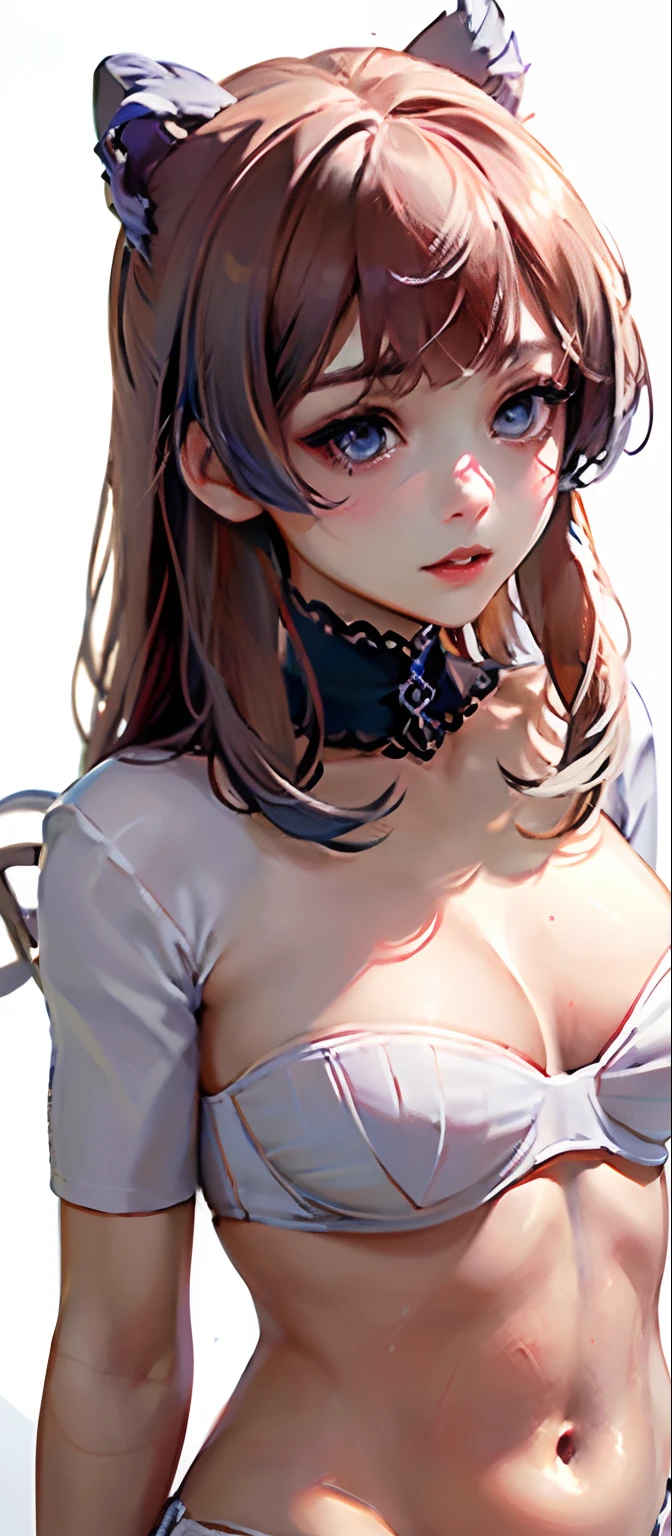 (Masterpiece, Best quality,:1.2), 1girll, (Solo:1.3), Upper body, White bra, Short sleeves, , (Waifu, Realistic, Real life, Exceptional, Best-aesthetic, New, newest, Best quality, Masterpiece:1.2), soft_lighting, soft_skin_Ton, femele_Hair, (White background, Simple background,:1.2),cleavage，Large breasts，tit，Raised