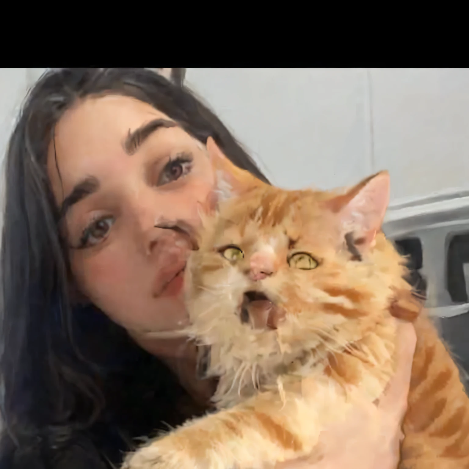 There is a woman holding a cat in her arms, Dua Lipa, Charli Bowater, !!!! Gato!!!!, imagem de qualidade muito baixa, lorde, julia sarda, Valentina Embaralhamento, bochechas grandes segurando seu gato, she is holding a cat in her arms, Charli Bowater e Artgeem, Directed by: Emma Andijewska, Mina Petrovic