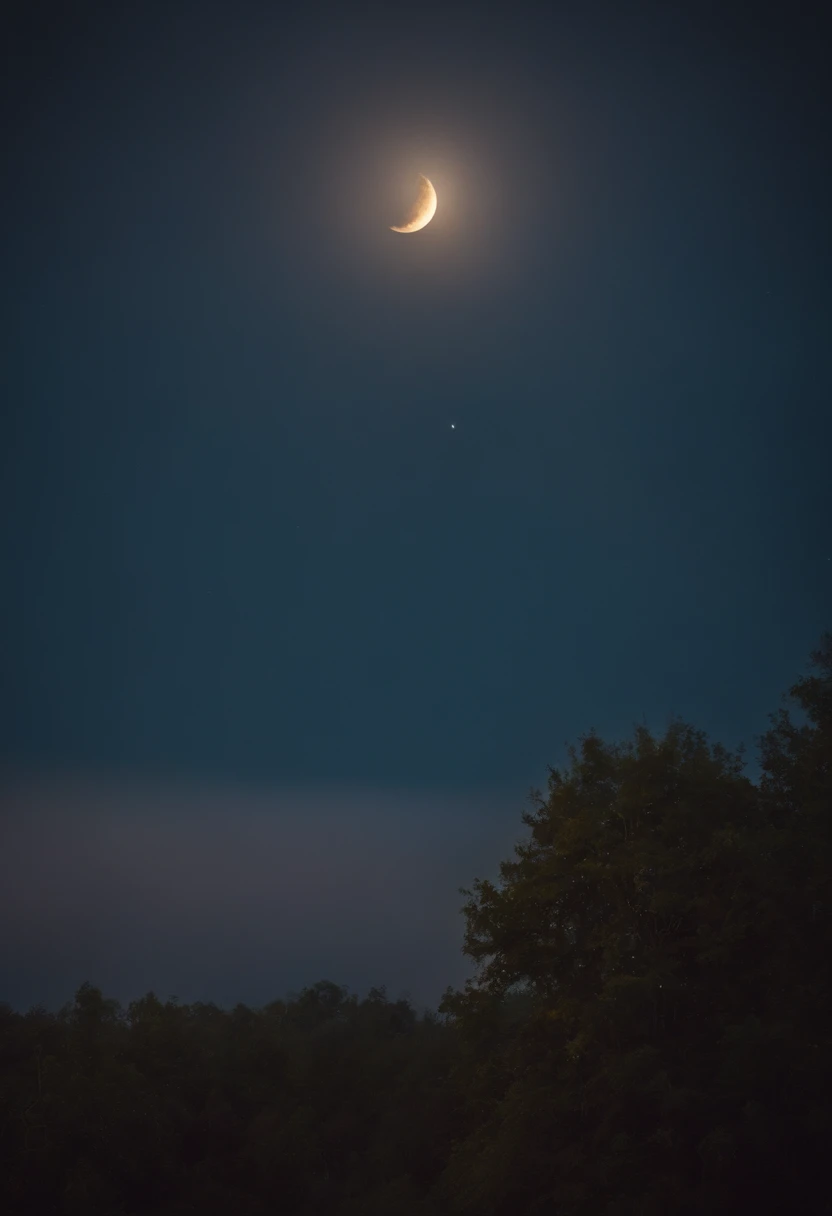 catss、Looking up at the night sky、Phases of the moon、Fantastic scenes