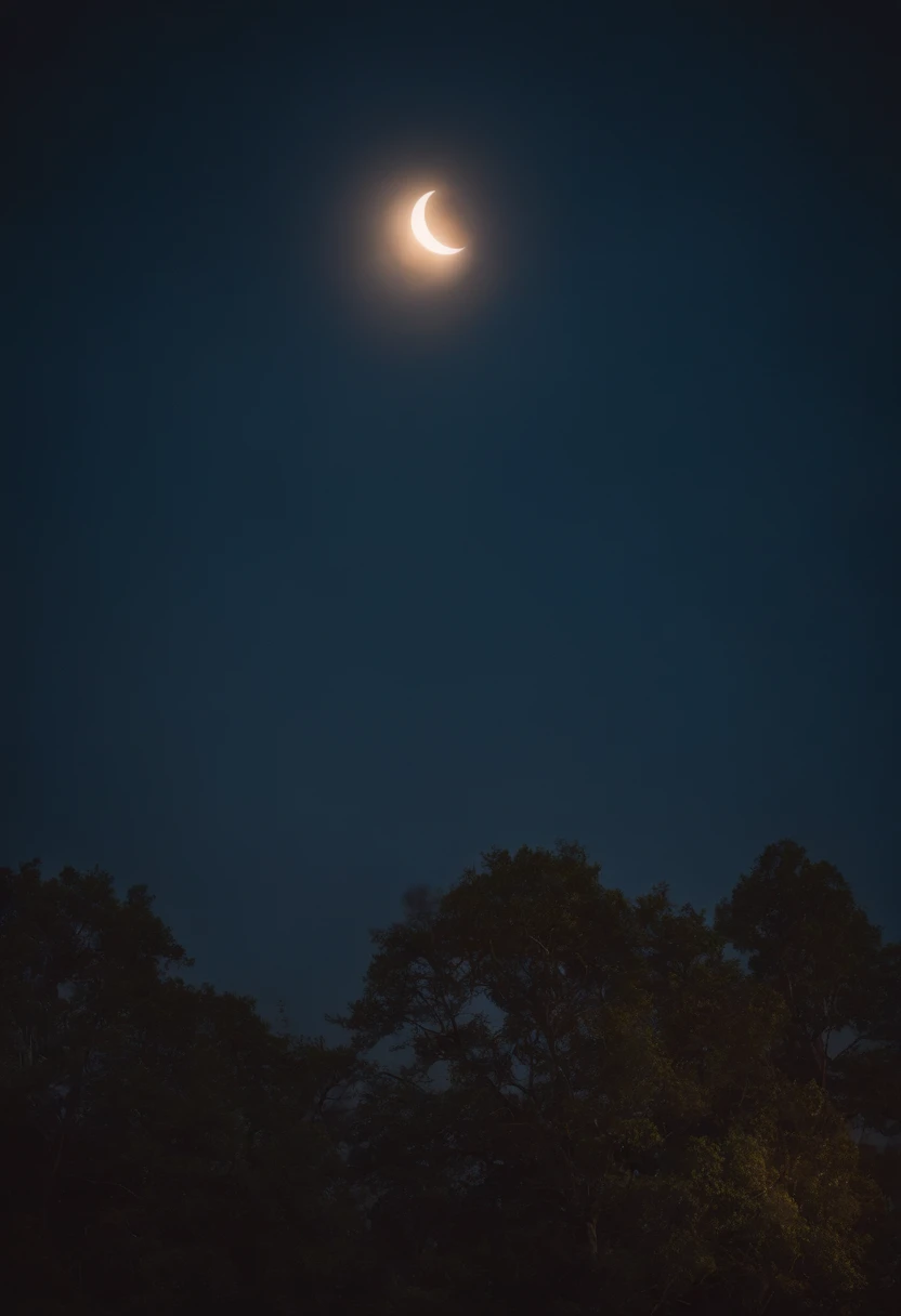 catss、Looking up at the night sky、Phases of the moon、Fantastic scenes