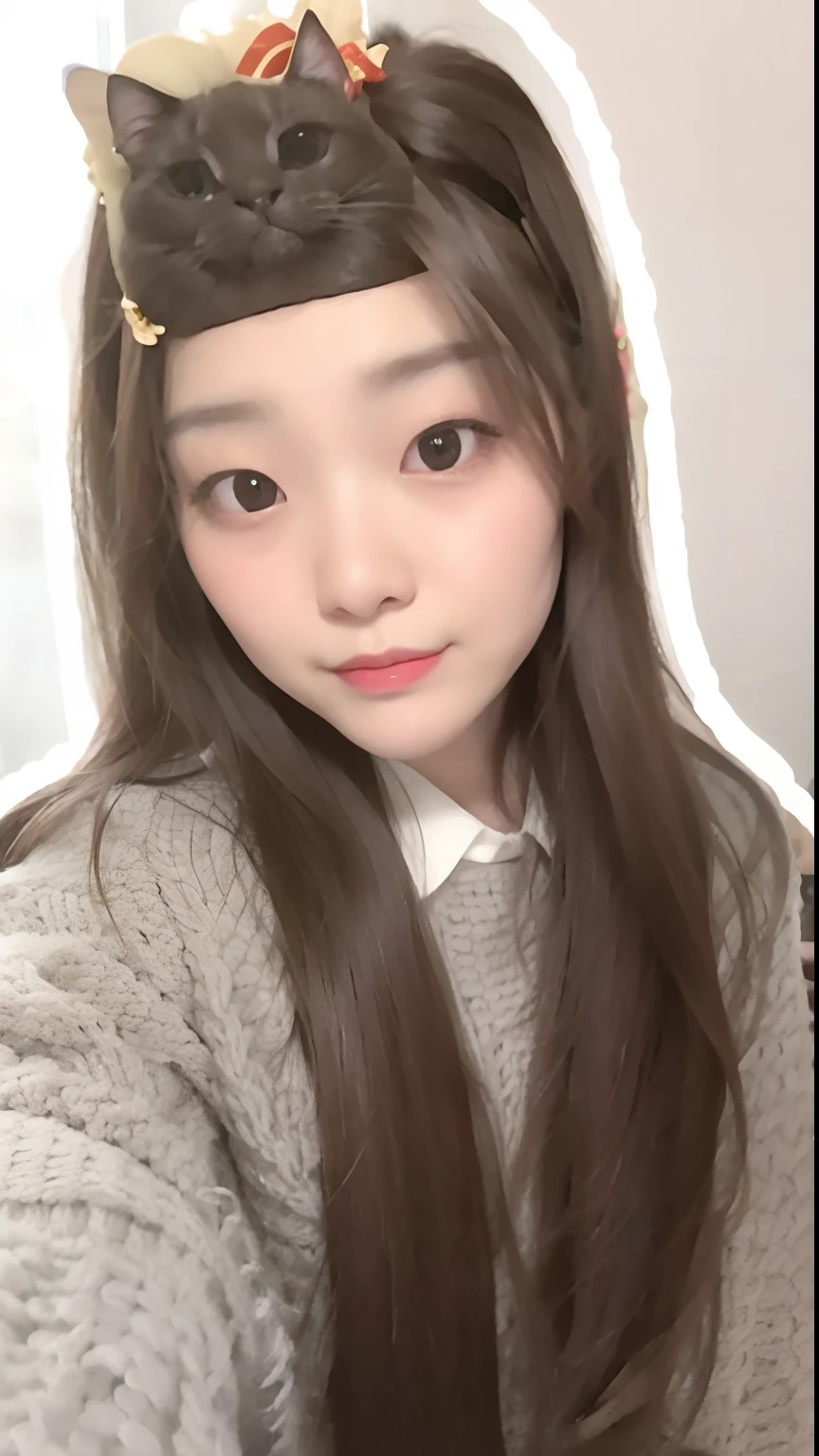 There was a woman with a cat on her head，There is a cat on his head, young lovely Korean faces, ulzzangs, wan adorable korean face, young cute wan asian face, Korean girl, Young and cute face, She has a cute face, chiho, 🤤 girl portrait, with cute - fine - face, 19-year-old girl, instagram filters