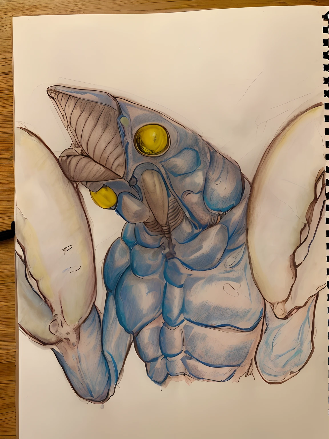 Drawing of a blue and yellow creature with a big head, Insect portrait, Portrait of an alien insect, Detailed creatures, insectoid, Guyver Style, high quality colored sketch, insectile forearms folded, colored sketch, Ultra Detailed Aliens, I found scribbled in my sketchbook, detailed but rough, Anatomical sketch, 【 sciart 💙💜 mson