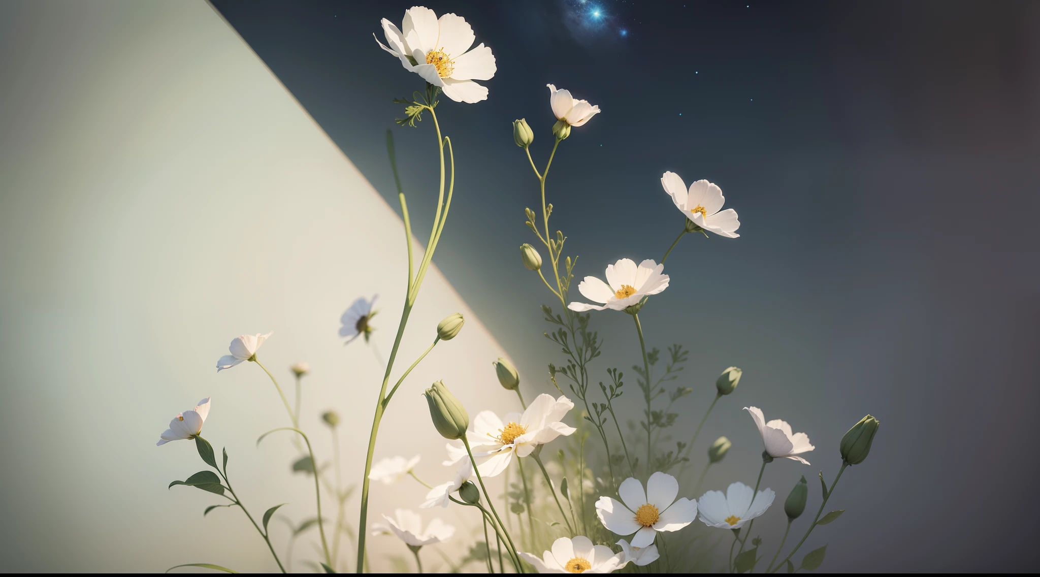 Cosmos floral pattern, (Photorealsitic: 1.4), Pale tones, Modern, top-quality, masterpiece, ultra-detailliert