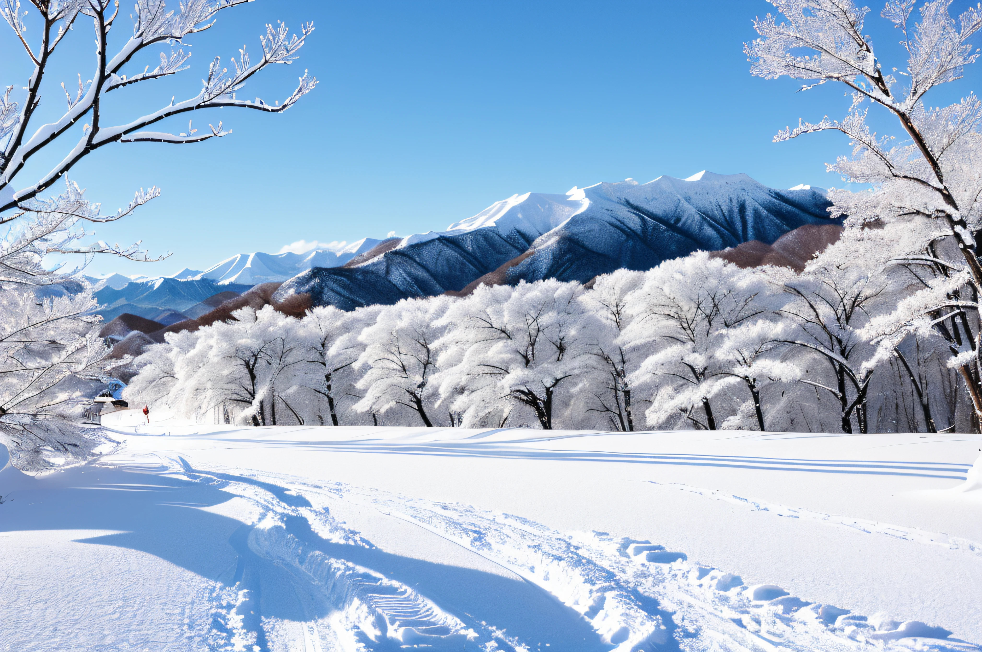 snowscape、Winters、yuki、landscapes