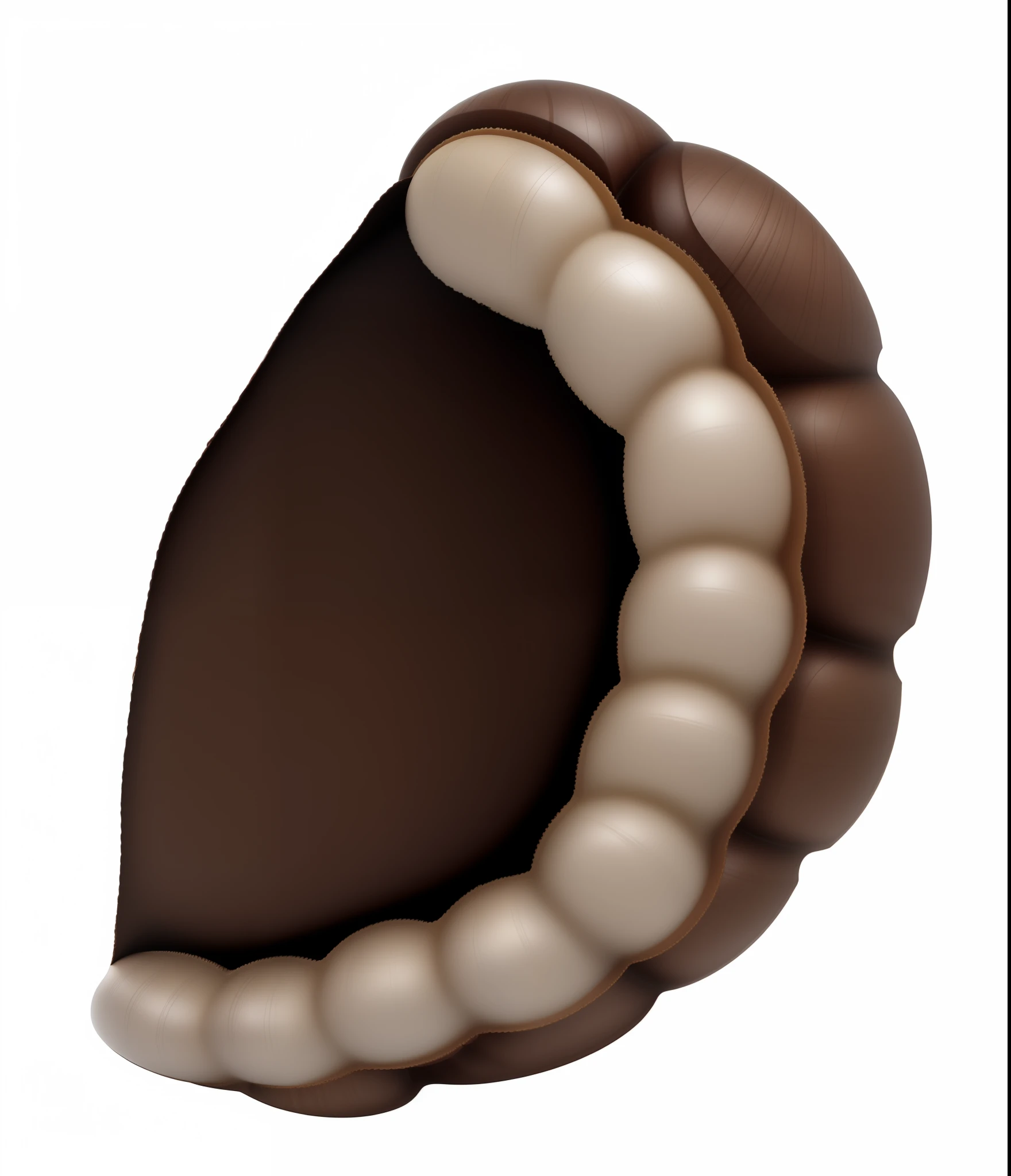 Brown shell,adolable,Rounded,white backgrounid,