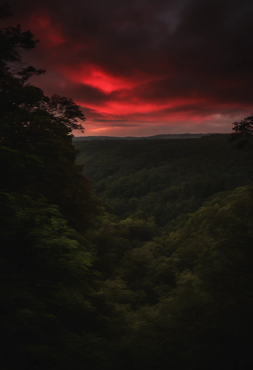 Crie uma imagem de uma casa mal assombrada no meio da floresta, Escuro, Dark forest with red clouds in the night sky