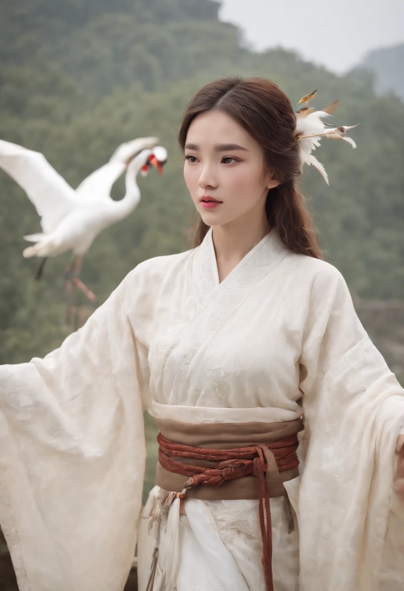 masterpiece, best quality, 1girl, brown hair, brown eyes, ancient china, white and yellow clothes, bird, cranes