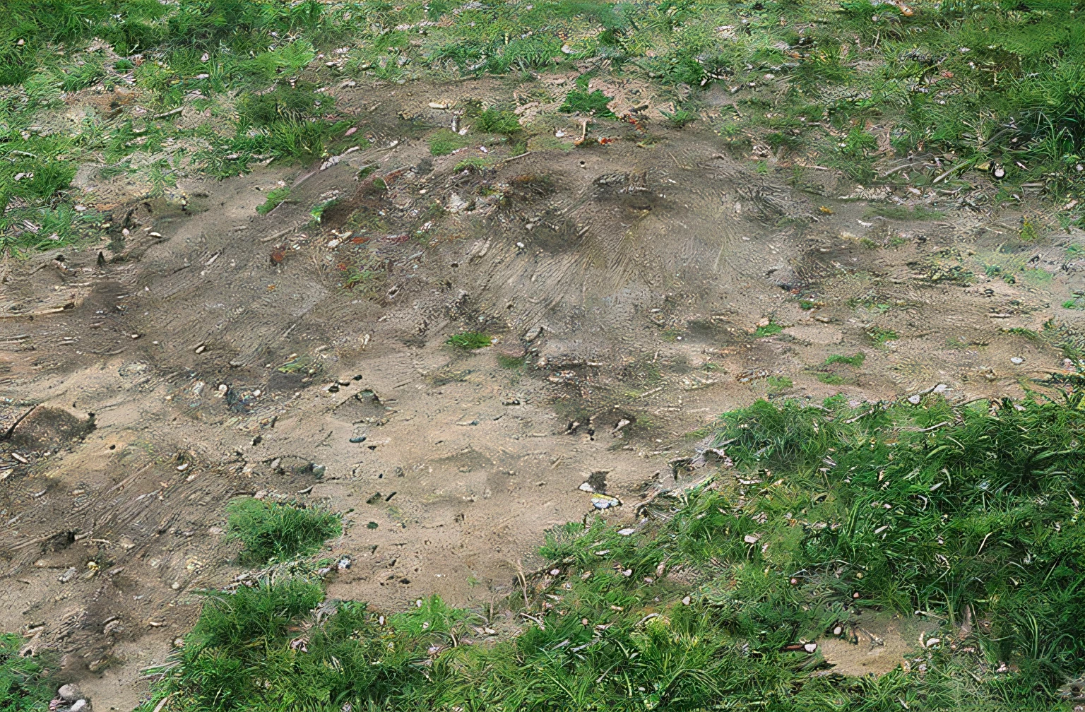 There is a small dog standing in the grass, Airborne dirt and gravel, Stains of dirt, Dirt ground, Ground debris, The ground is very detailed, Dirt texture, Muddy ground, Dirt and stains, Ground debris, Ground covered with maggots, Ground details, Shell crater, rocky ground with dirt paths,, Dirty ground
