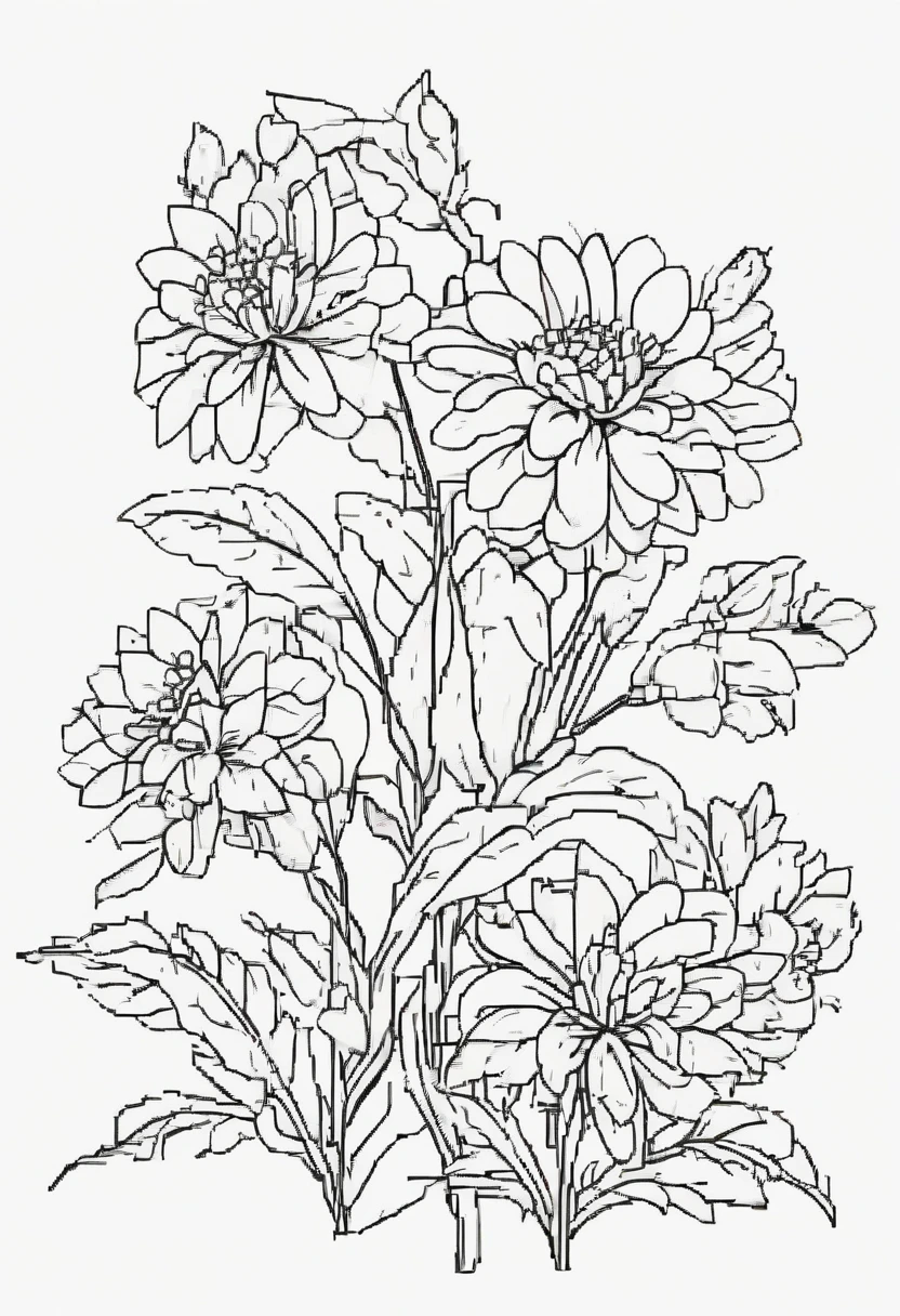 Clear black lines isolated on white background,Line drawing,color no,colorless,Coloring book for kids,White background,Cute Flowers,Pure white,dark lines,Easy coloring book