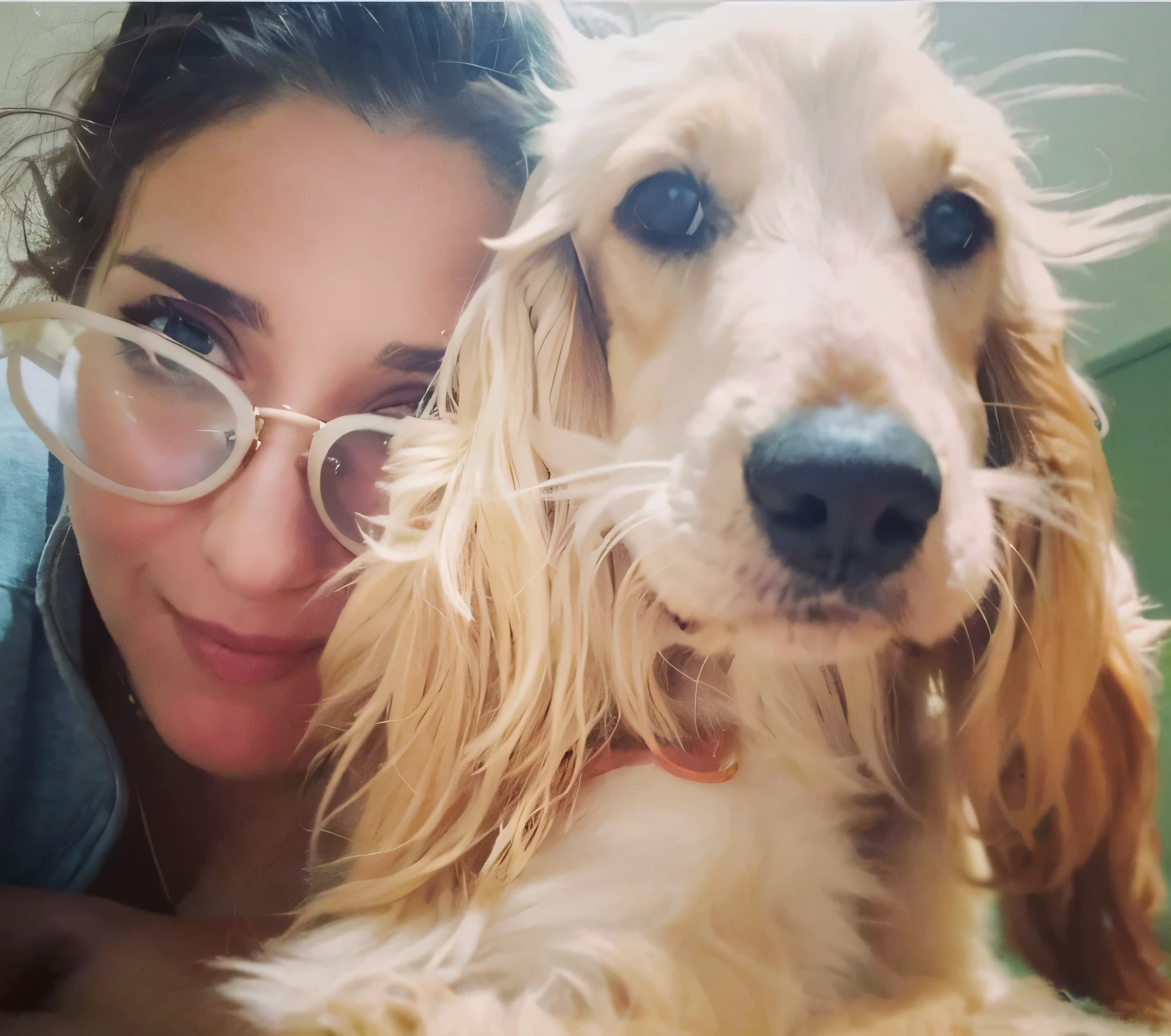 there's a woman who's holding a dog in her lap, selfie of a dog, julia sarda, Charli Bowater e Artgeem, imagem de perfil, with dogs, Christina Kritikou, Sophie, um alambique de um feliz, Directed by: Emma Andijewska, Andorinha Toron, 📷 Mungojerrie e Rumpleteazer, Directed by: Pamela Drew