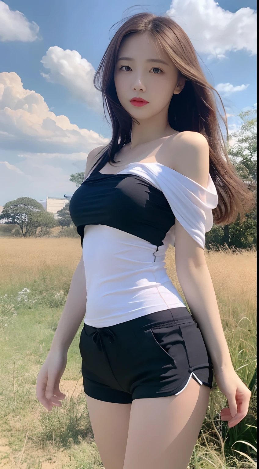 ((Best Quality, 8k, Masterpiece:1.3)), a beautiful girl, pure, melon face, gentle and cute, thin figure, frontal, tilted head, ((dewy shoulder short T-shirt, sports shorts)), black silky hair, long hair shawl, round black big eyes, clear big eyes, ((moist red lips)), (lipstick), (blush), ((rosy skin)), sweet, blue sky and white clouds, grassland, grassland background,
