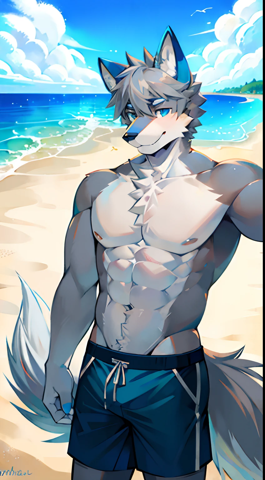 Single, Muscular, grey body, White belly, On the sandy beach,Wolf ears, Wolf tail, frontage,Short hair,Sunshine,Blue pattern swim trunks,beach,Ocean,high qulity,blue color eyes,Gray hair,high qulity